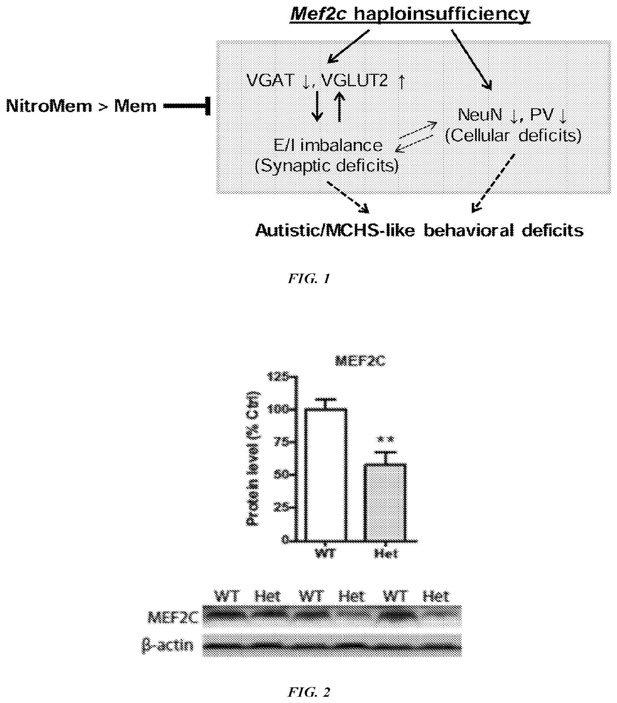 Patent US12576042 Figure 1 – Methods and compositions for treating neurological conditions