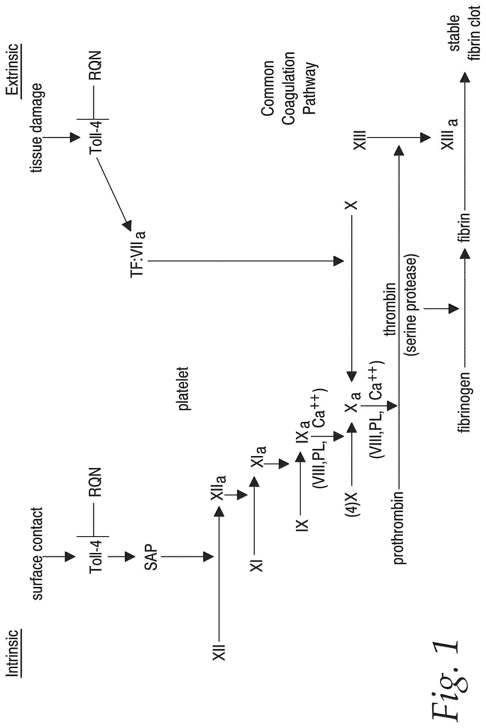 Patent US12576044 — Treatment of Alzheimer's disease — Figure 1
