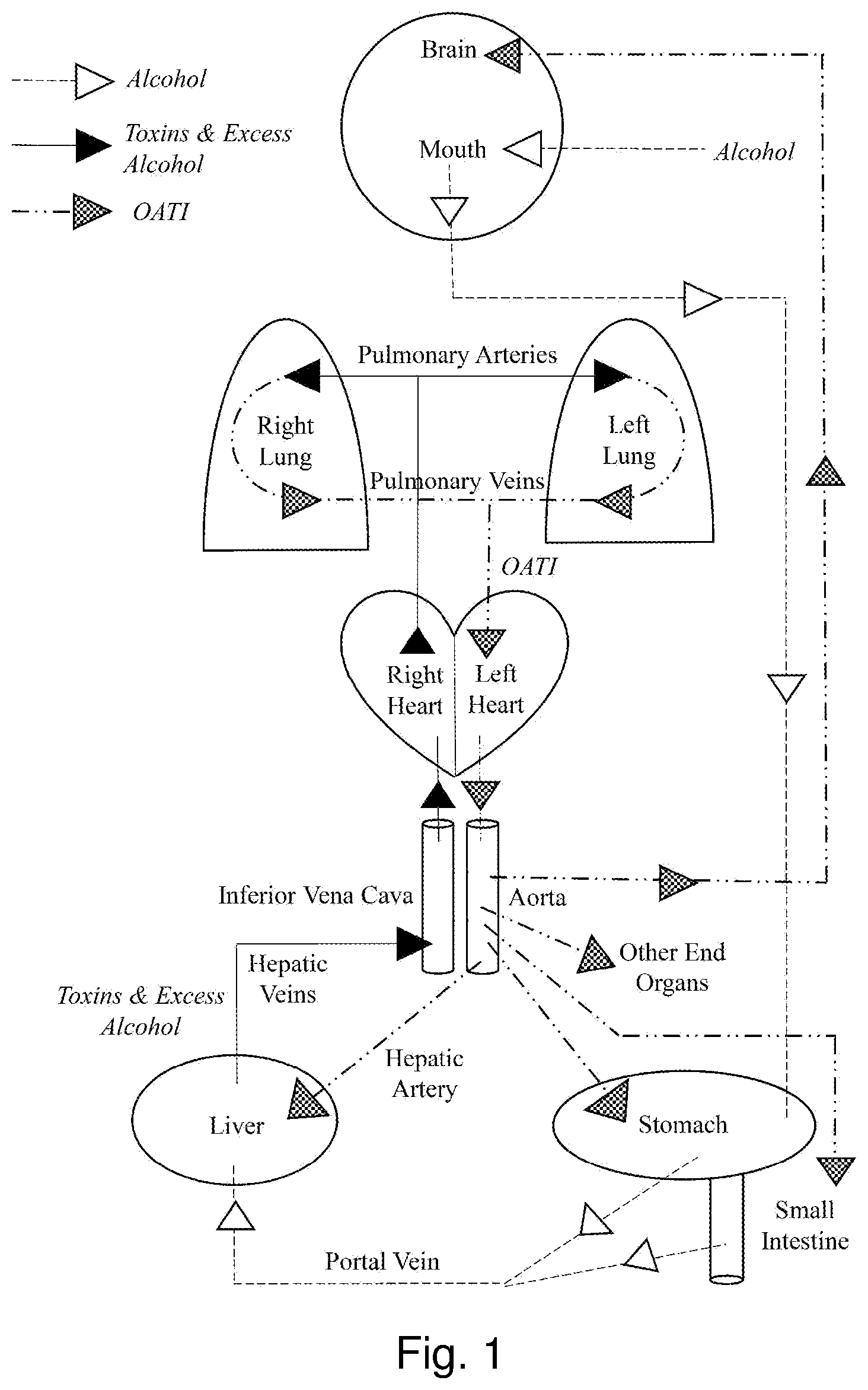 Patent US12576045 — Methods and nutraceutical compositions for the prevention and/or mitigation of veisalgia — Figure 1