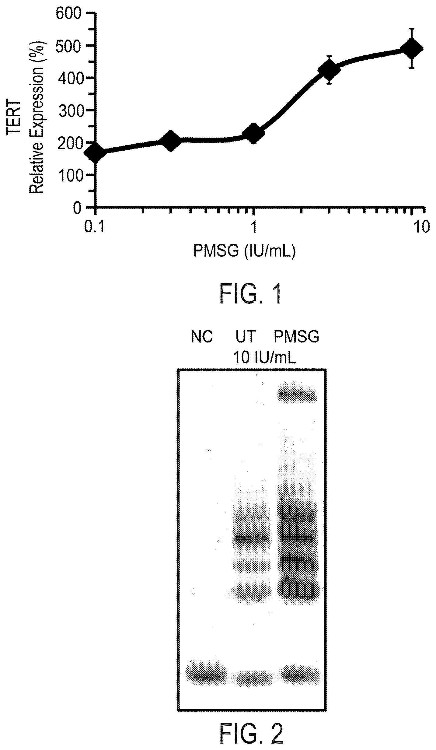 Patent US12576047 Figure 1 – Telomerase activating compounds for use in fertility and related applications