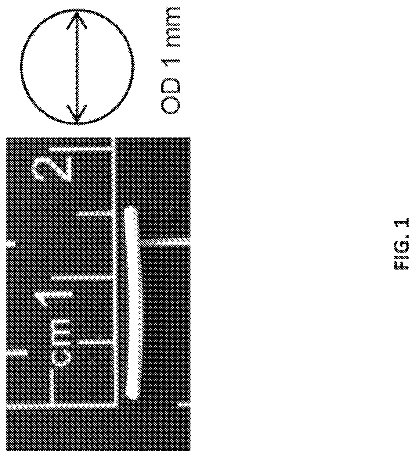 Patent US12576063 — Implantable drug delivery devices for localized drug delivery — Figure 1