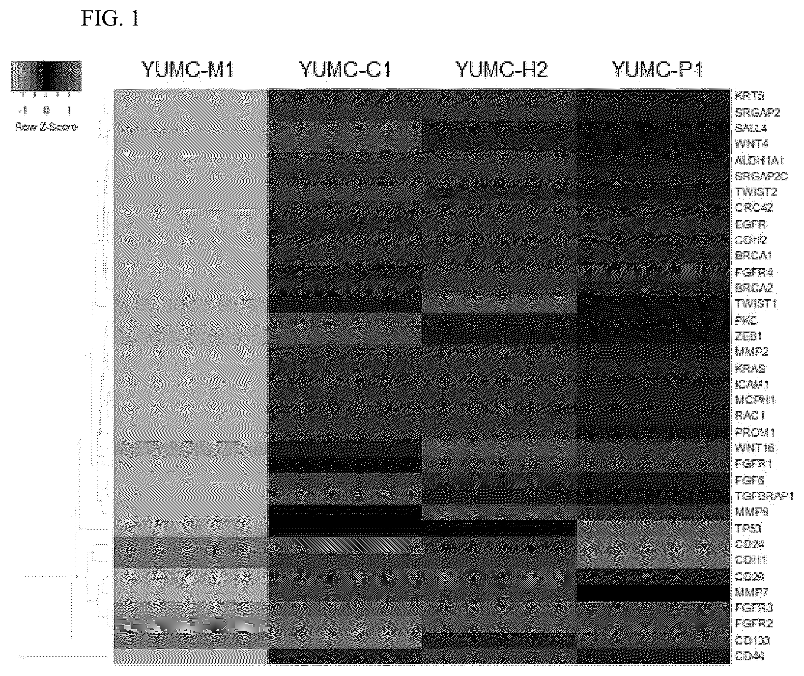 Patent US12576077 Figure 1 – Composition for preventing, alleviating or treating cancer