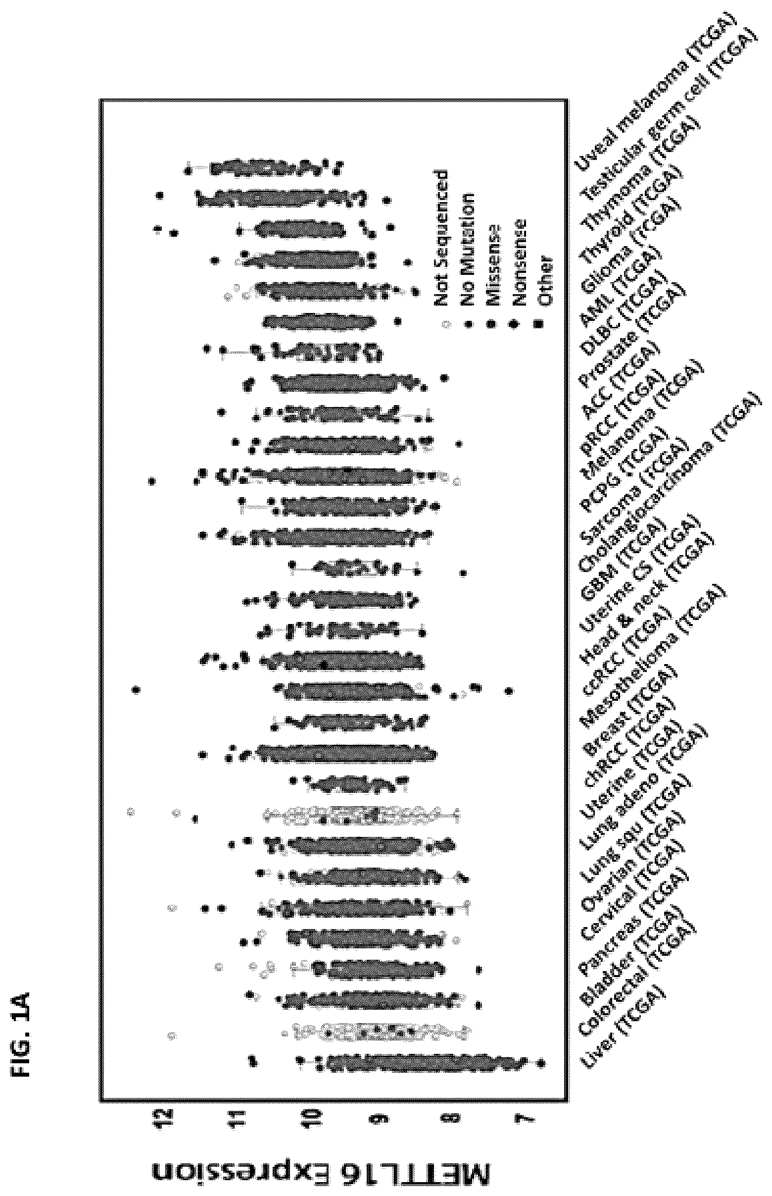 Patent US12576082 Figure 1 – METTL16 inhibitors and uses thereof
