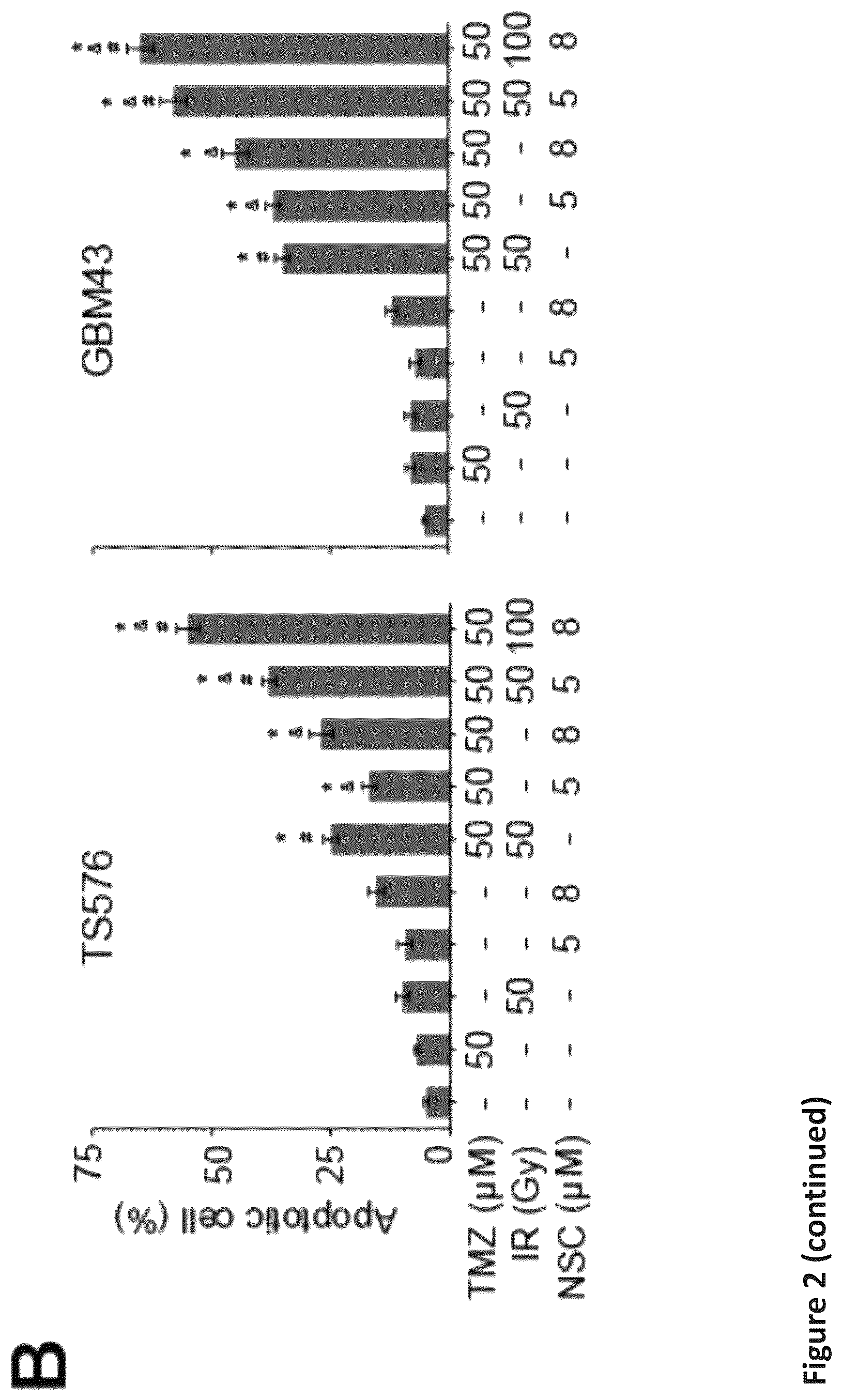 Patent US12576088 Figure 5 – Methods for enhancing cytotoxic cancer therapy through inhibition of ATG4B
