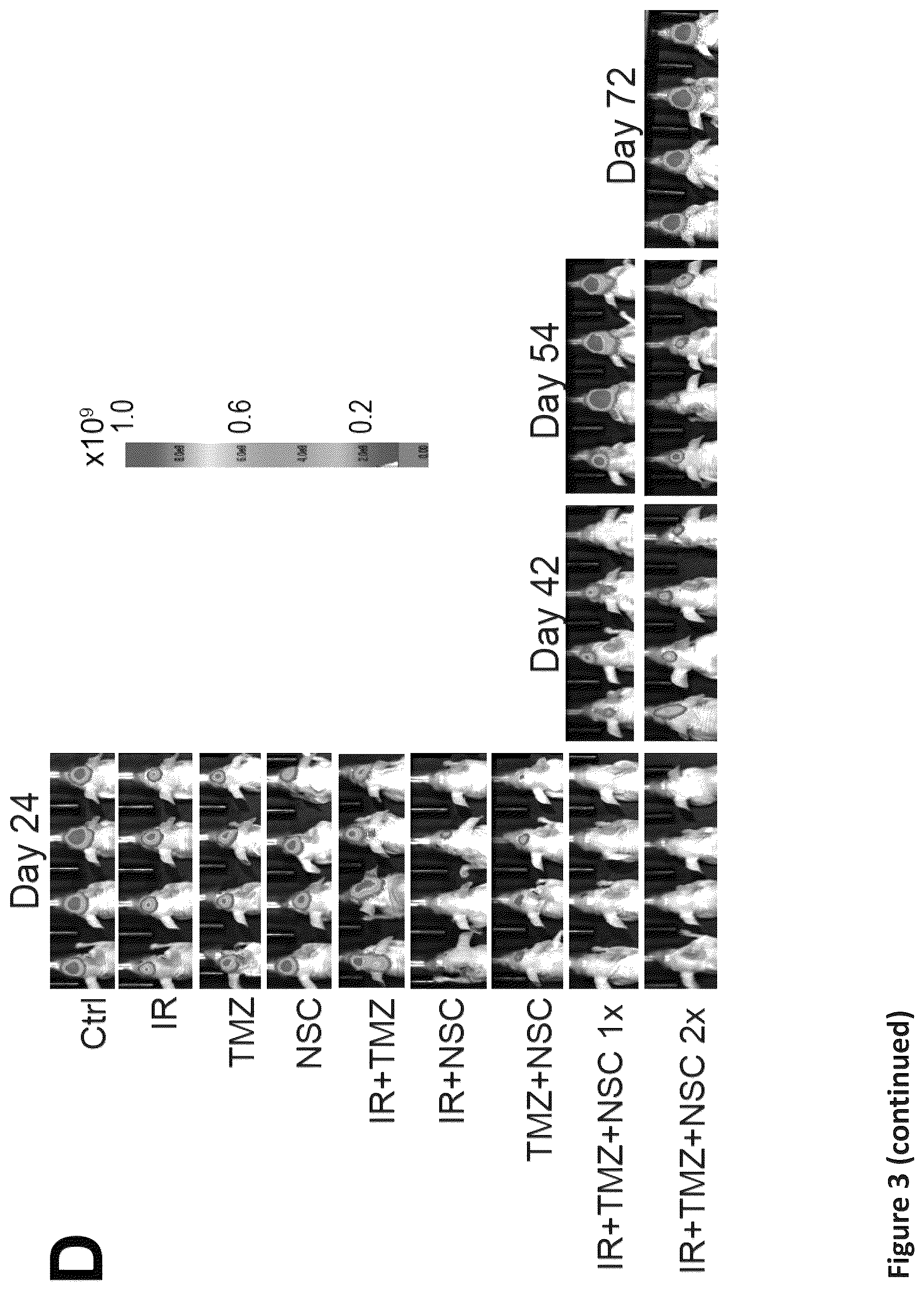 Patent US12576088 Figure 9 – Methods for enhancing cytotoxic cancer therapy through inhibition of ATG4B