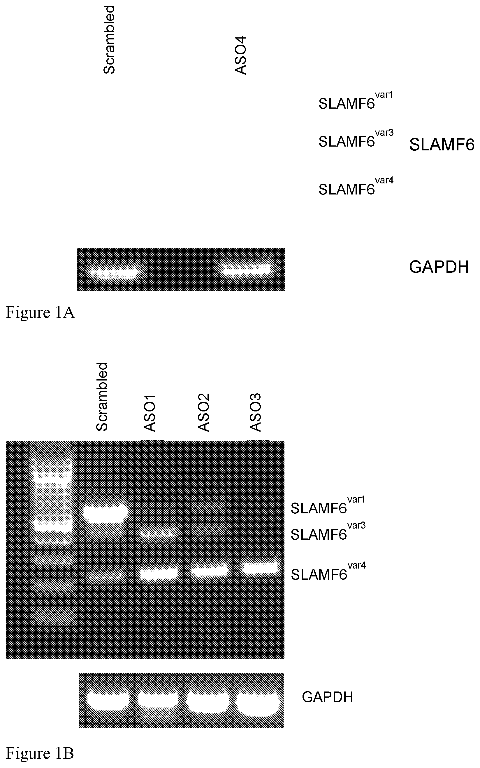 Patent US12576100 — Nucleic acid agents modulating SLAMF6 isoforms — Figure 1