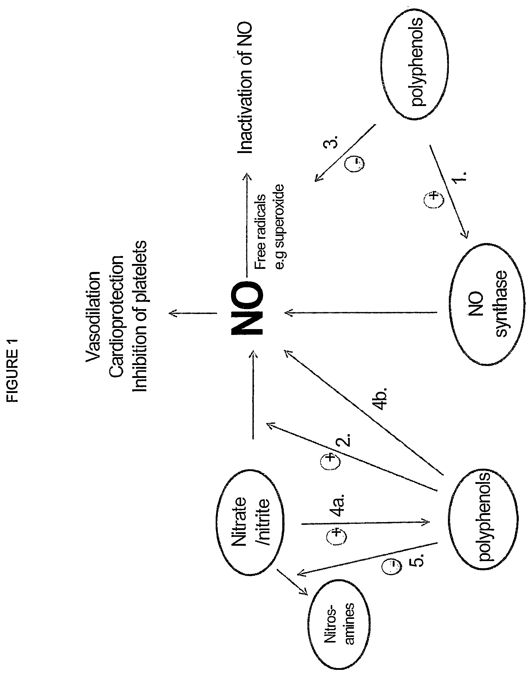 Patent US12576106 — Compositions of nitrates and methods of use thereof — Figure 1