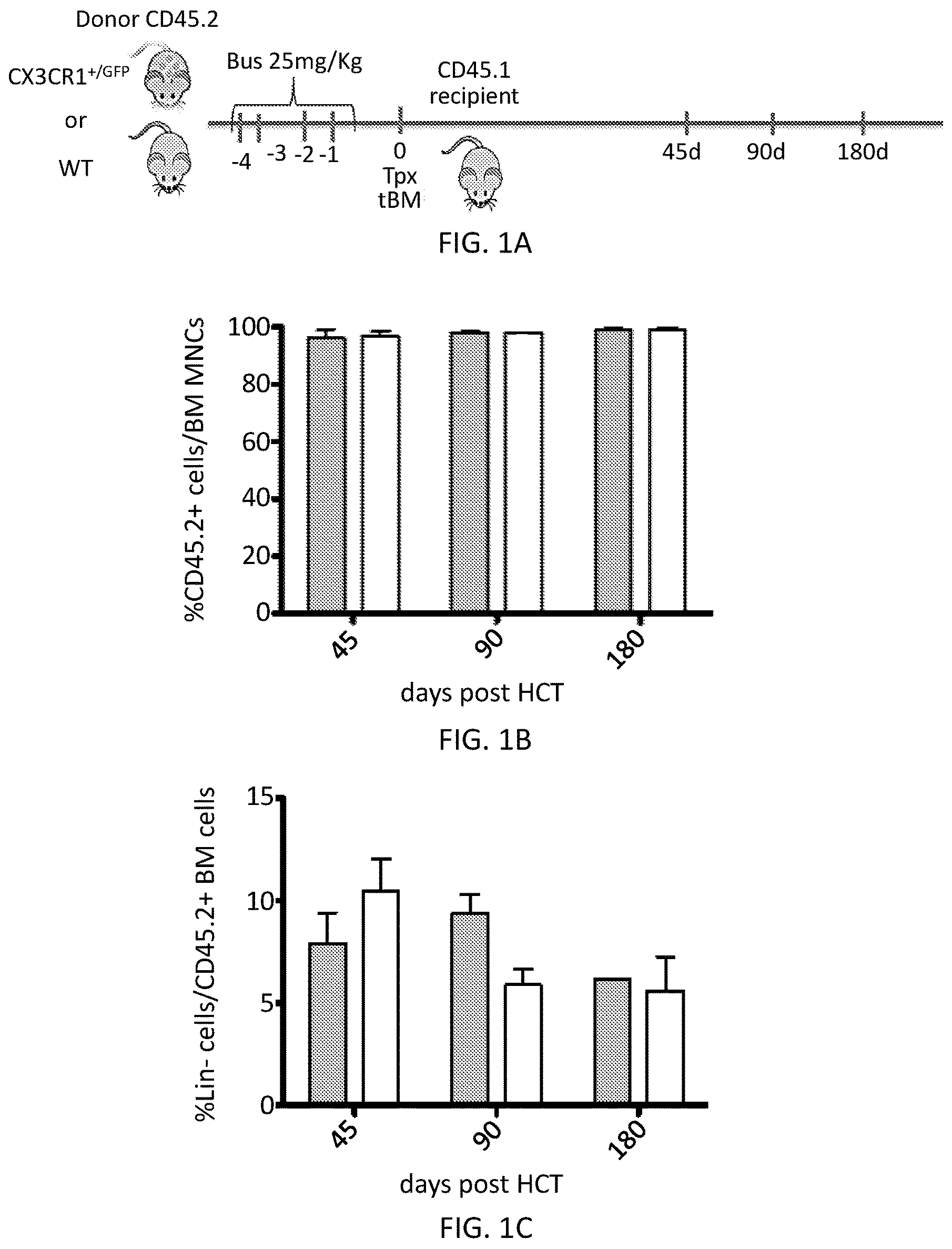 Patent US12576110 — Methods and compositions for reconstituting microglia — Figure 1