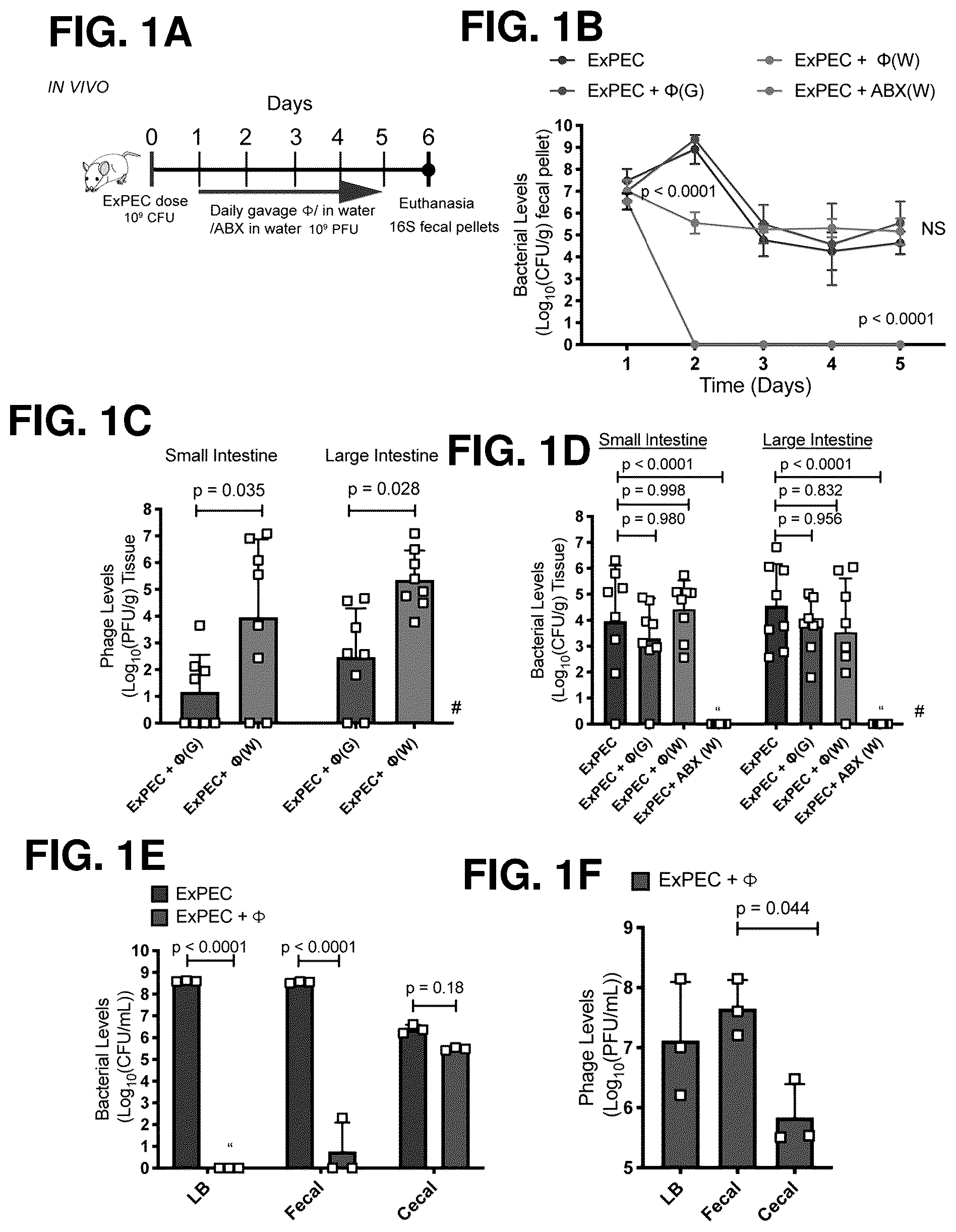 Patent US12576119 Figure 1 – Bacteriophage compositions and methods for treatment of bacterial infections