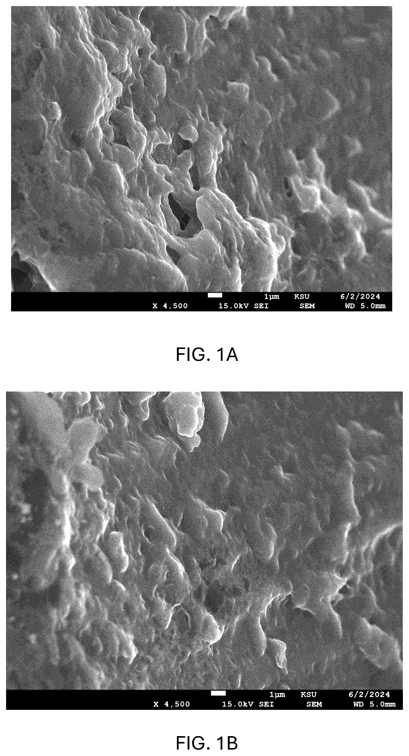 Patent US12576121 — Acacia nilotica based hydrogel and method of making the same — Figure 1