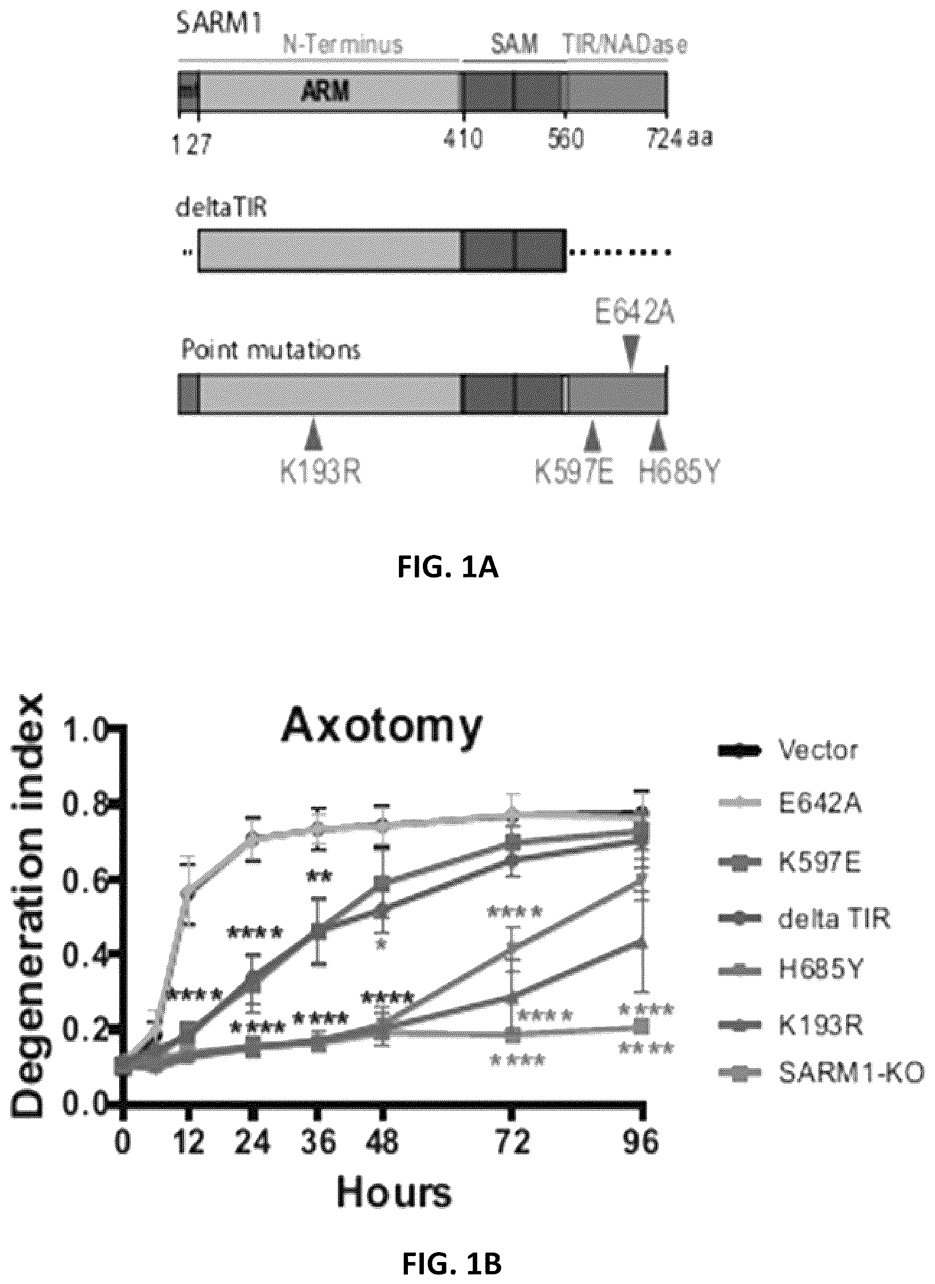 Patent US12576130 — Dominant negative SARM1 molecules comprising a substitution at position 189, 190, 193, 194, 570 and/or 685 of SARM1 — Figure 1