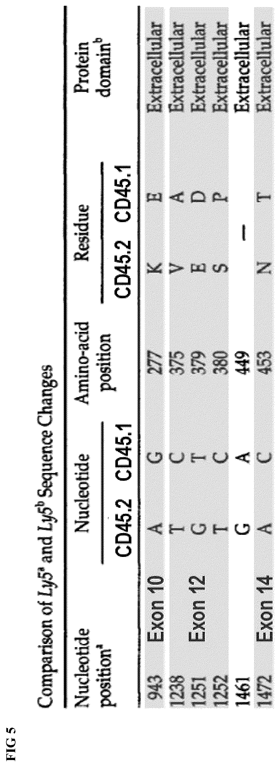 Patent US12576148 Figure 5 – Engineered immune effector cells for cancer immunotherapy that are resistant to fratricide by virtue of having genetically modified surface antigens