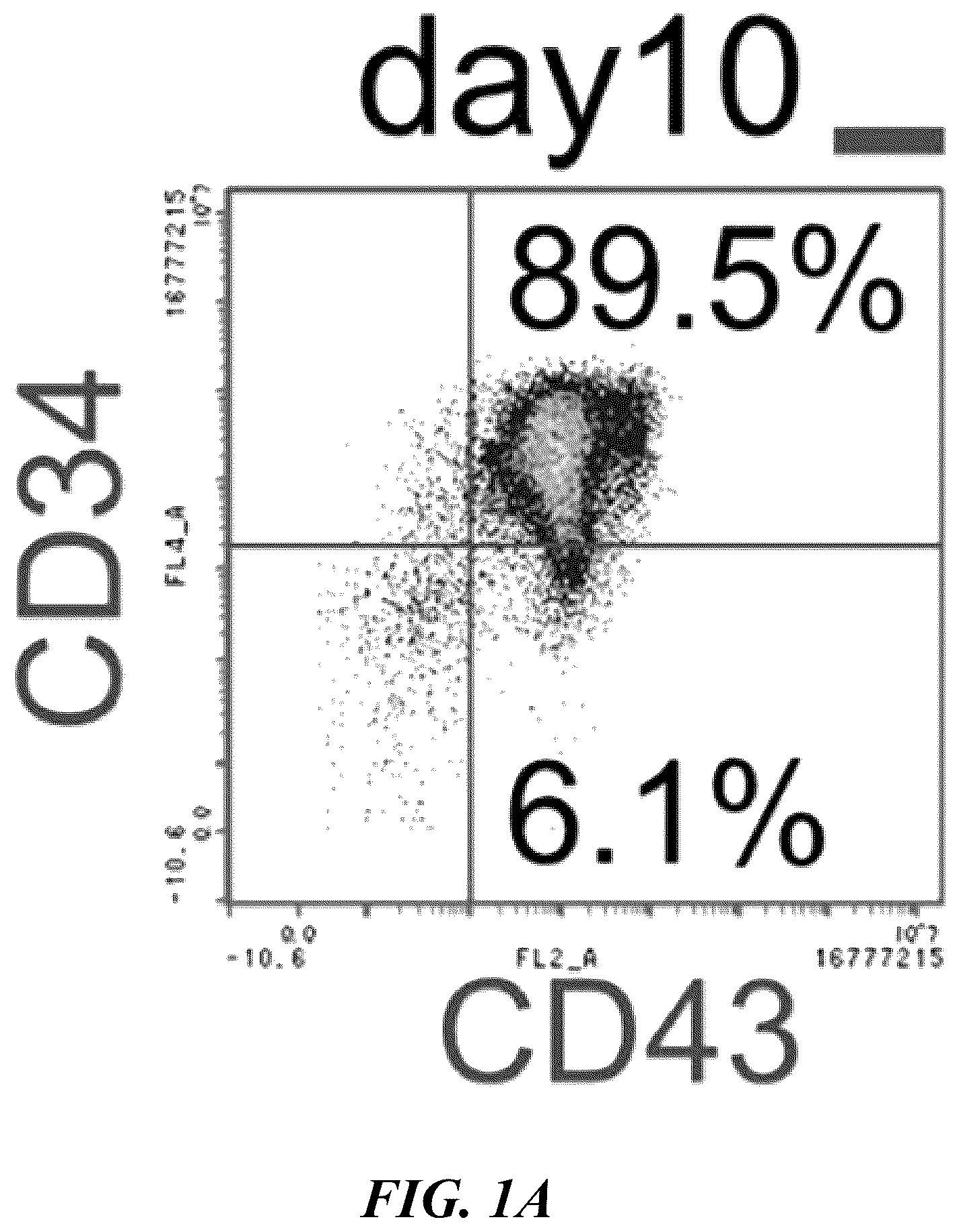 Patent US12576149 — Gamma delta T cells derived from induced pluripotent stem cells, and production method therefor — Figure 1