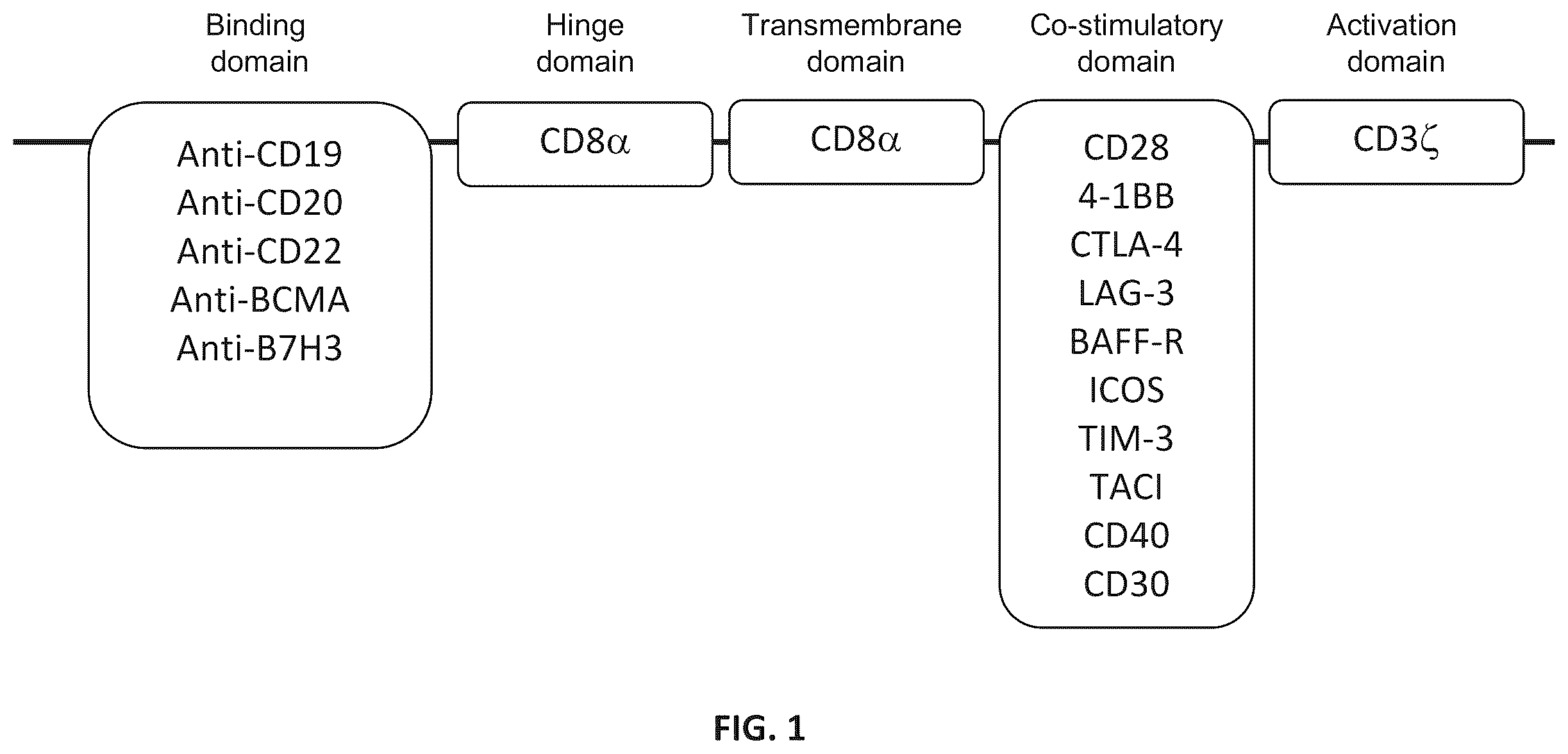 Patent US12576150 Figure 1 – CD4+ T cells expressing IL-10 and chimeric antigen receptors and uses thereof