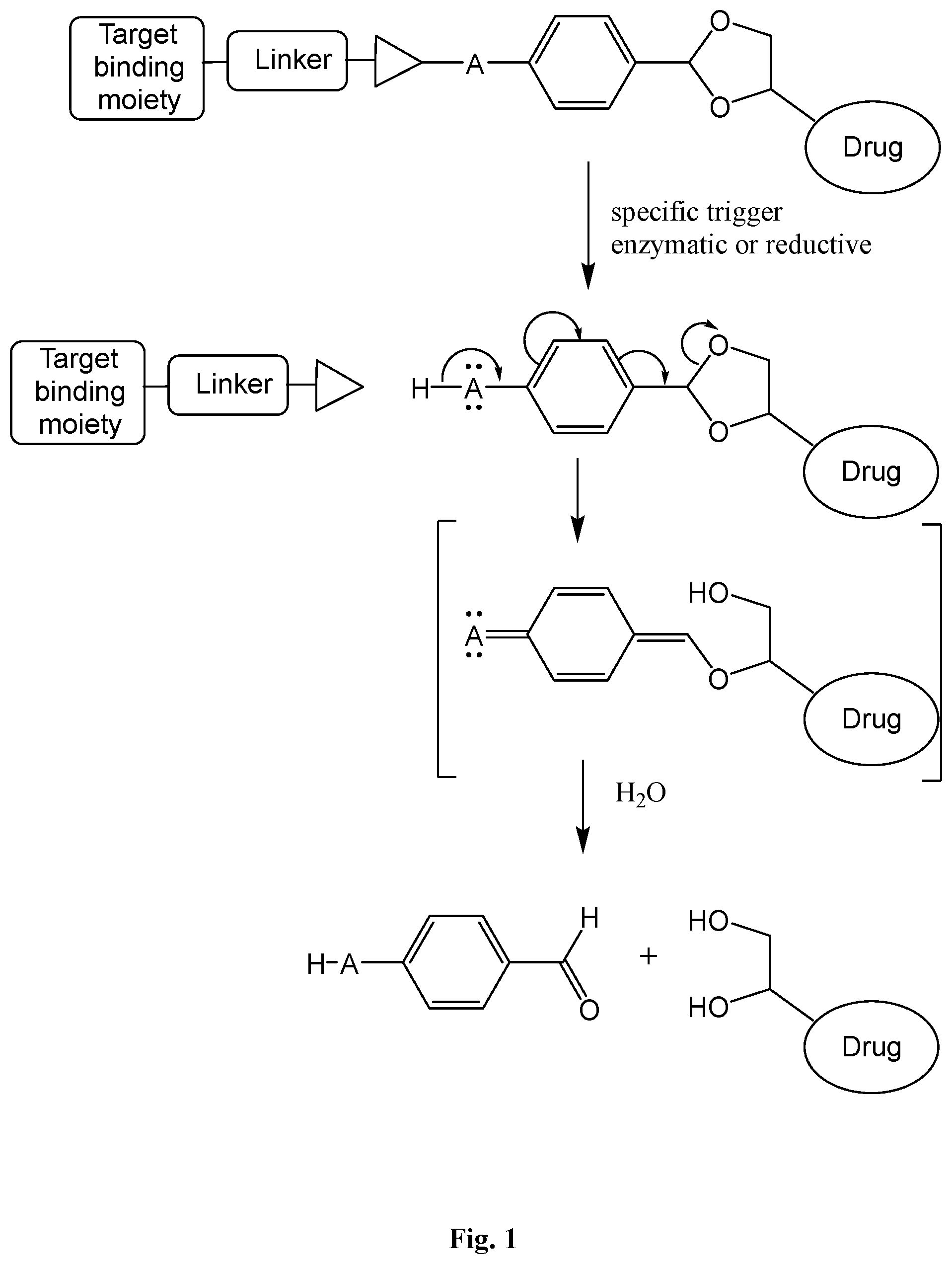 Patent US12576158 — Antibody drug conjugates with cleavable linkers — Figure 1