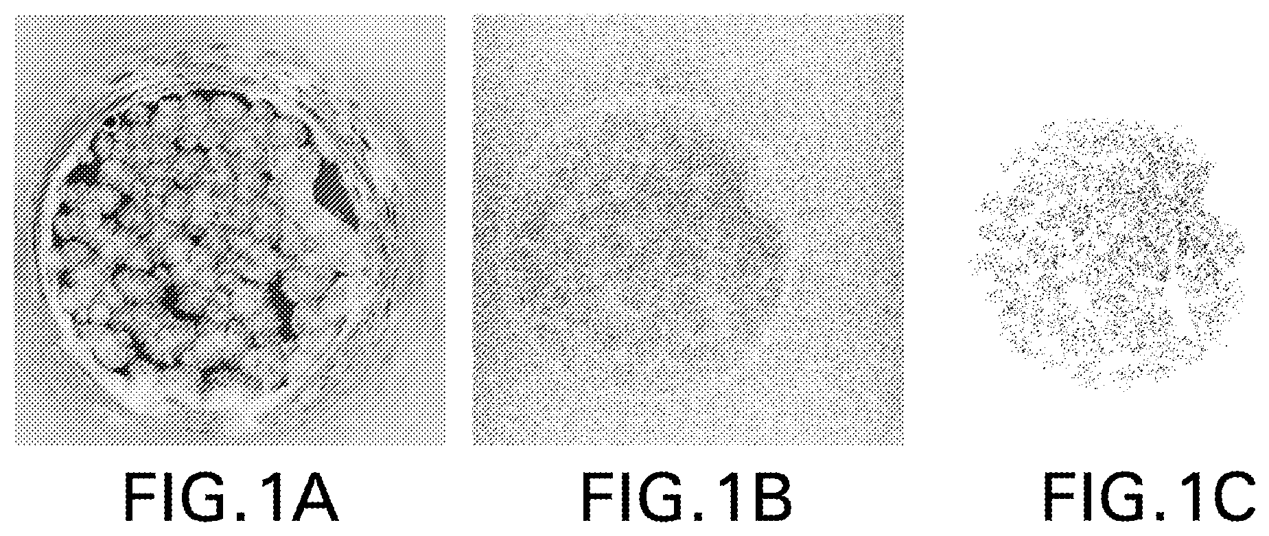 Patent US12576159 — Anti-human PD-1 antibody crystals and methods of use thereof — Figure 1