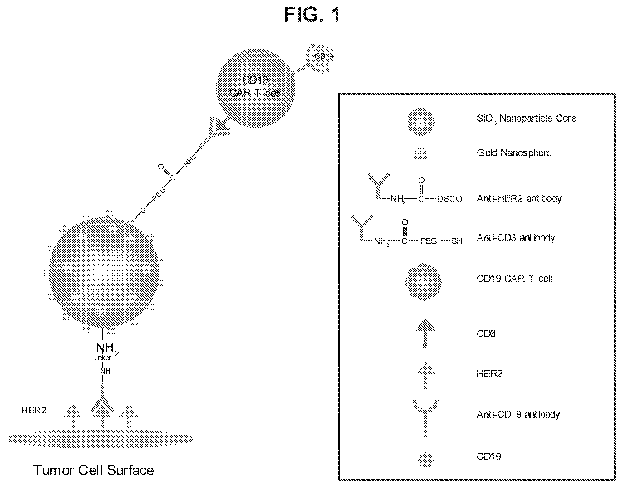 Patent US12576160 Figure 1 – Bispecific nanoparticle systems for targeting cancer cells