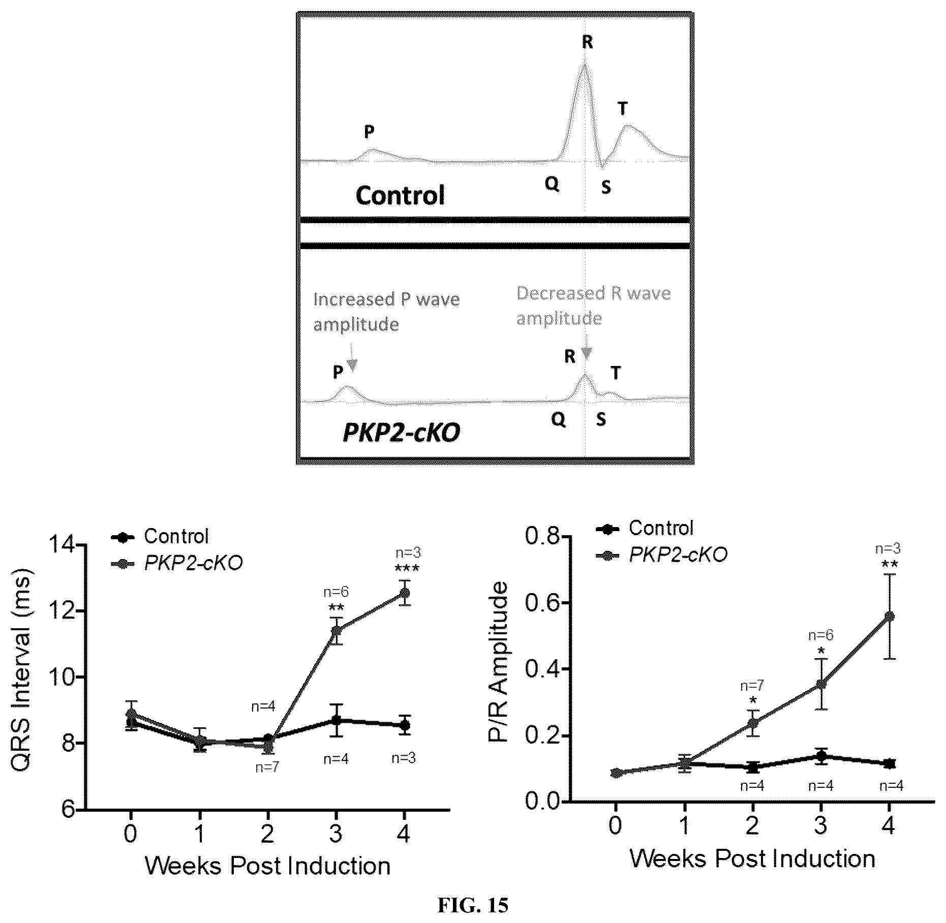 Patent US12576161 Figure 19 – Plakophillin-2 gene therapy methods and compositions
