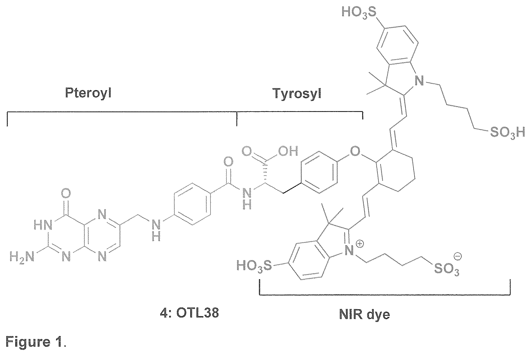 Patent US12576165 — Synthesis and composition of amino acid linking groups conjugated to compounds used for the targeted imaging of tumors — Figure 1