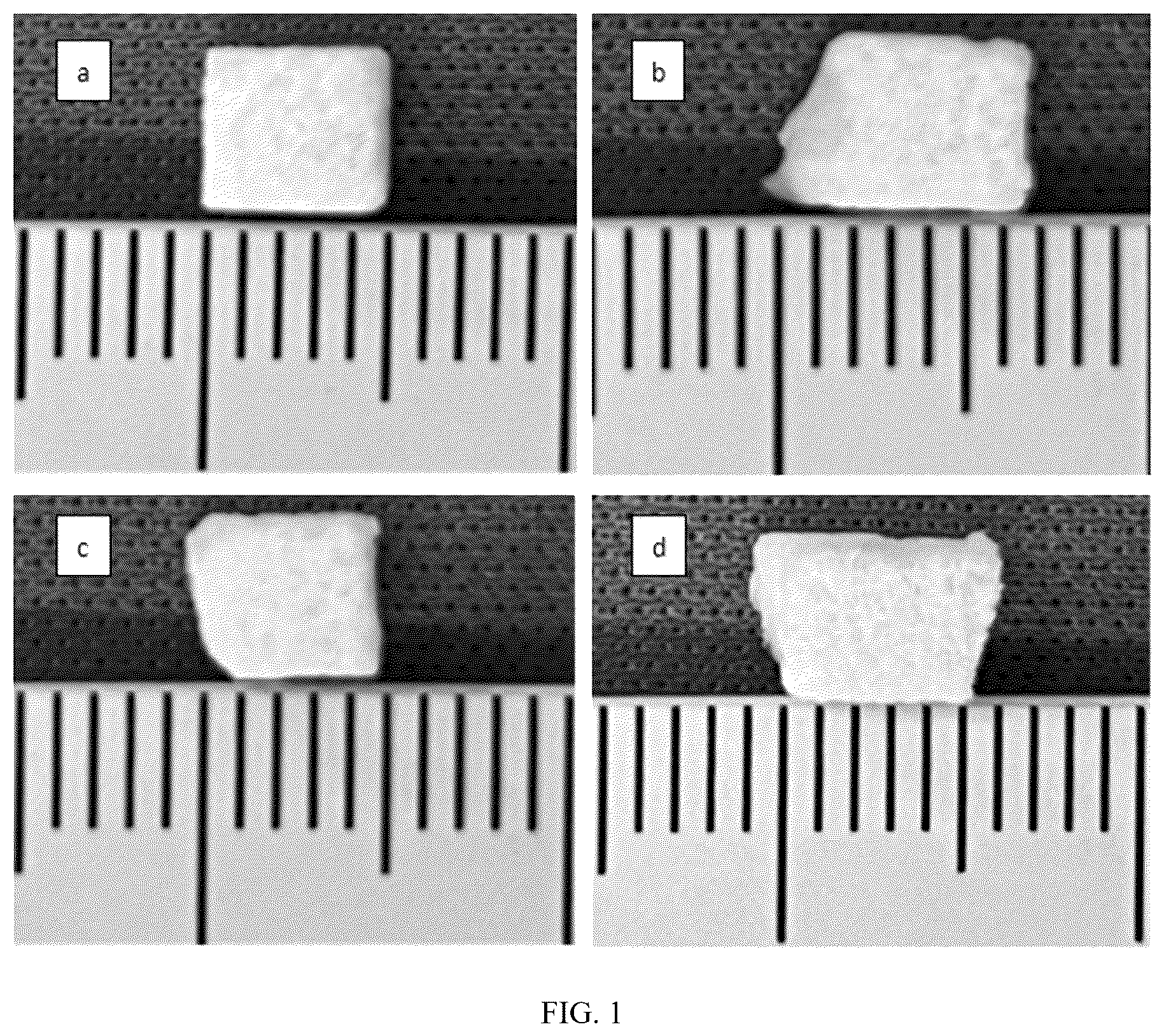 Patent US12576184 — Coralline hydroxyapatite and preparation method thereof — Figure 1
