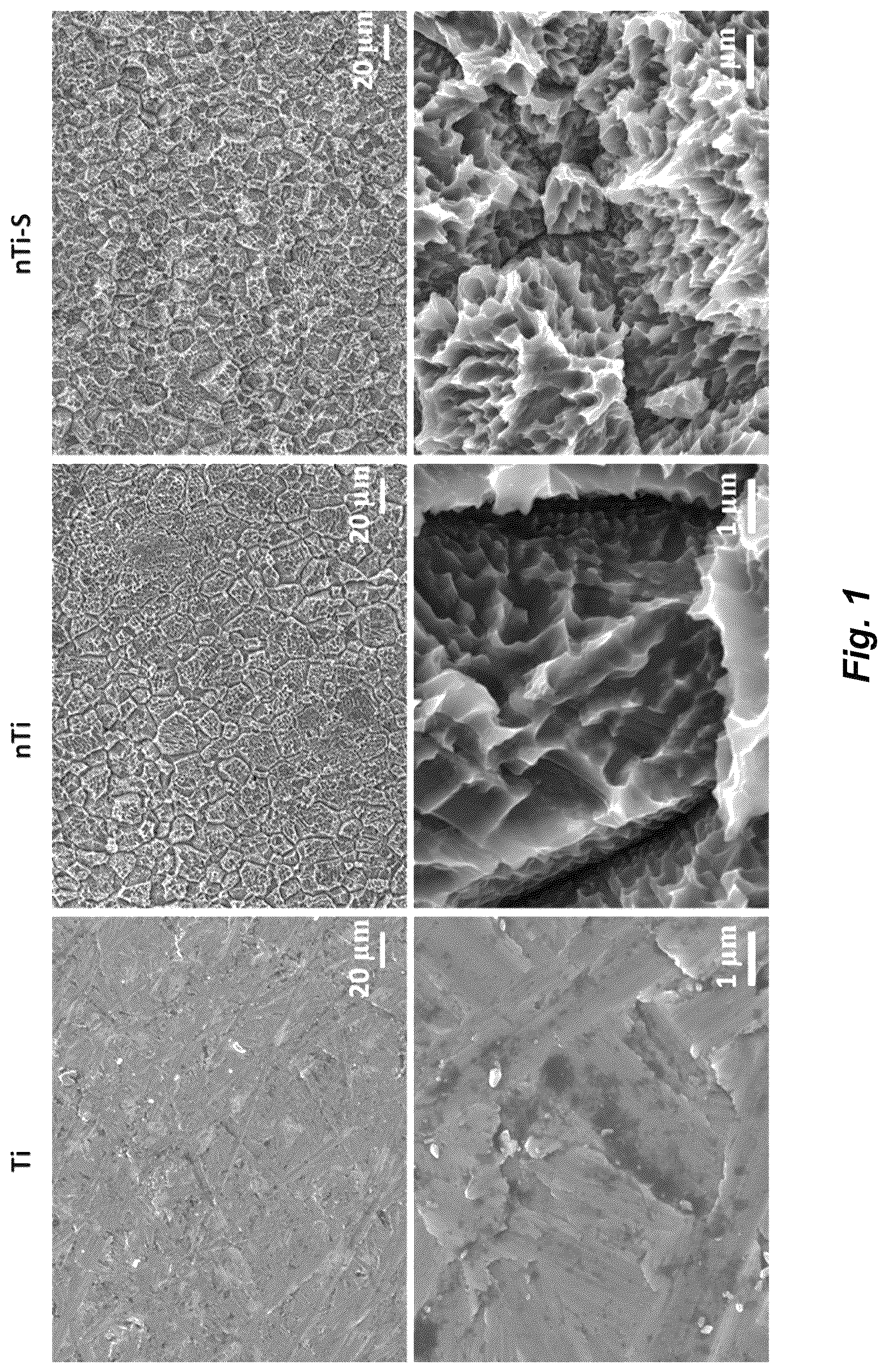 Patent US12576187 — Antiadhesive superhydrophobic surfaces — Figure 1