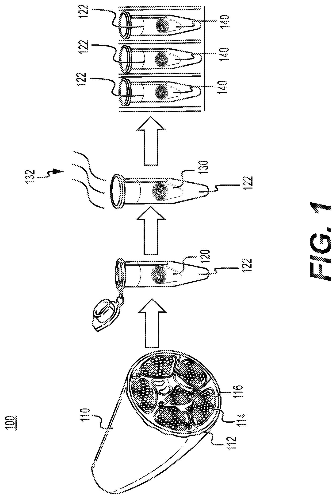 Patent US12576189 Figure 1 – Nerve grafts containing regenerative compounds, methods of making the same, and methods of treatment using the same