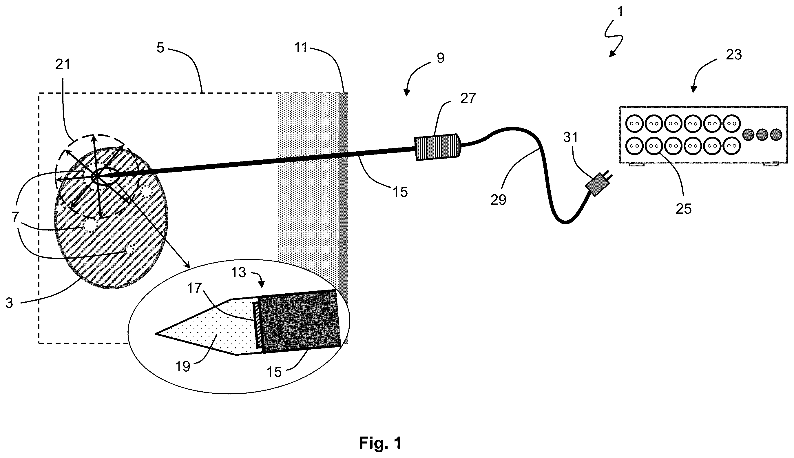 Patent US12576283 — System for performing transcutaneous photodynamic therapy (PDT) in an organ or organ segment of an organic body — Figure 1