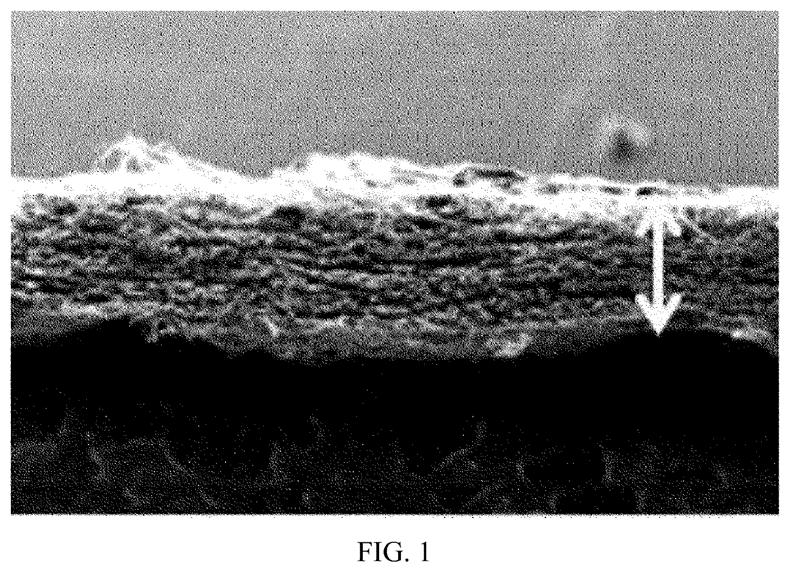 Patent US12576353 — Positively charged filter material with ability for removing charged particles efficiently, and method for producing same — Figure 1