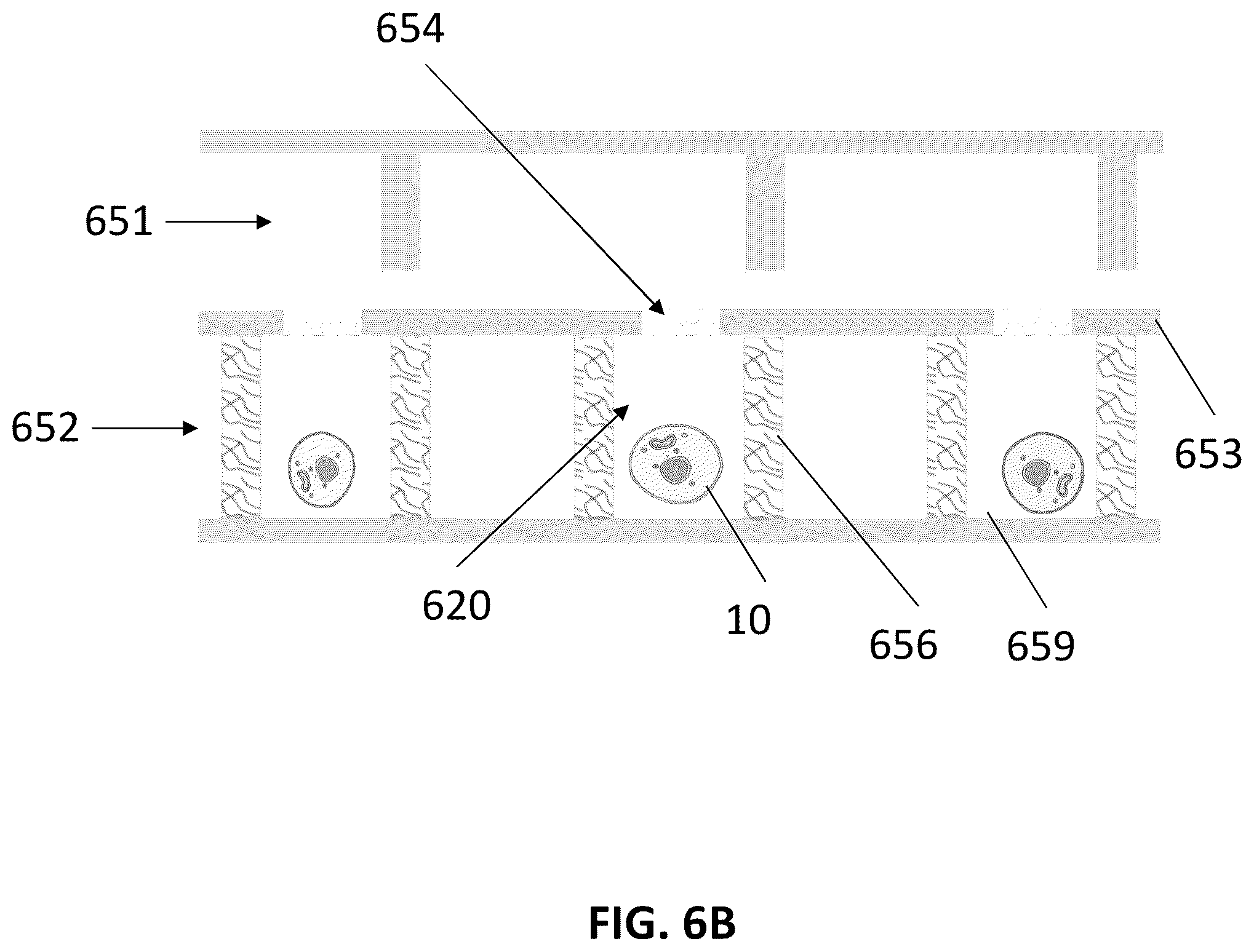 Patent US12576399 Figure 11 – Methods for imaging and analyzing a cell in a compartment of a fluidic device