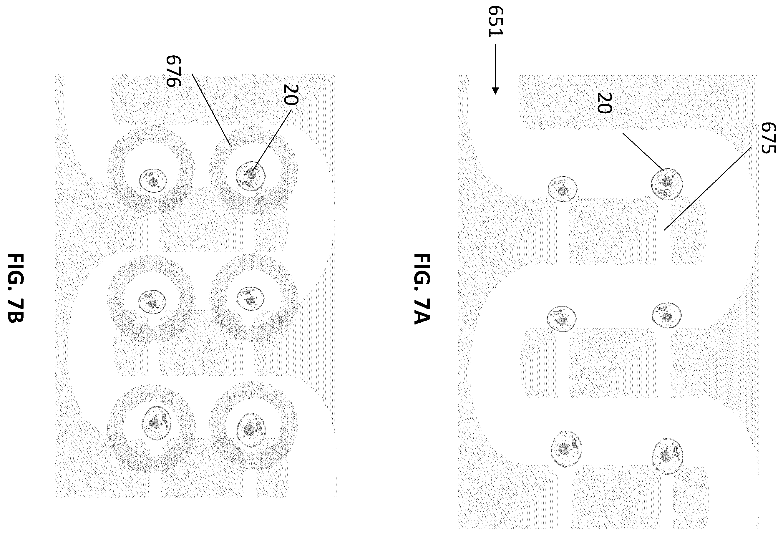 Patent US12576399 Figure 12 – Methods for imaging and analyzing a cell in a compartment of a fluidic device