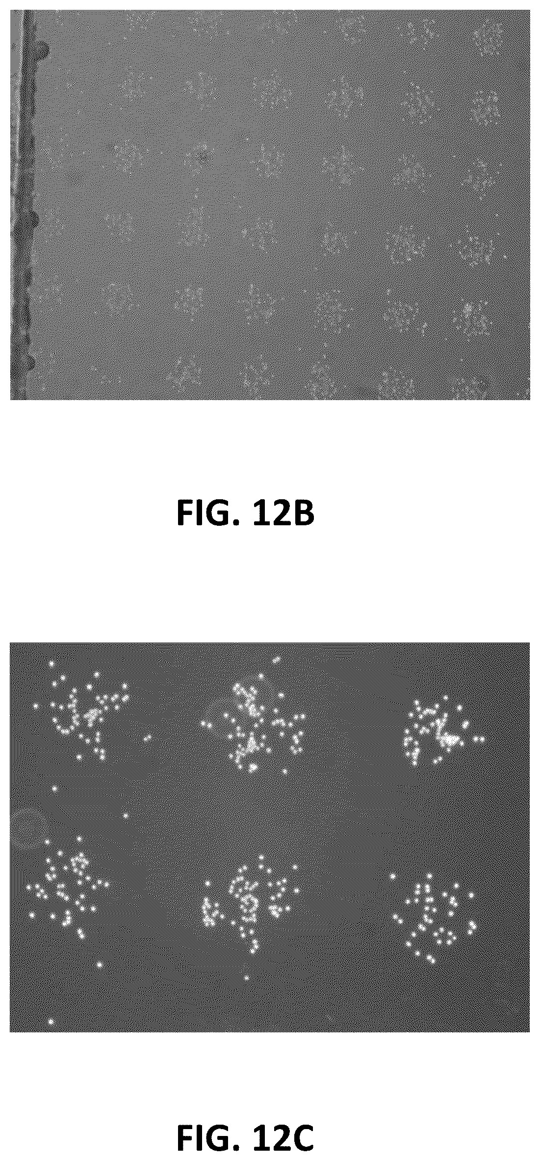 Patent US12576399 Figure 19 – Methods for imaging and analyzing a cell in a compartment of a fluidic device