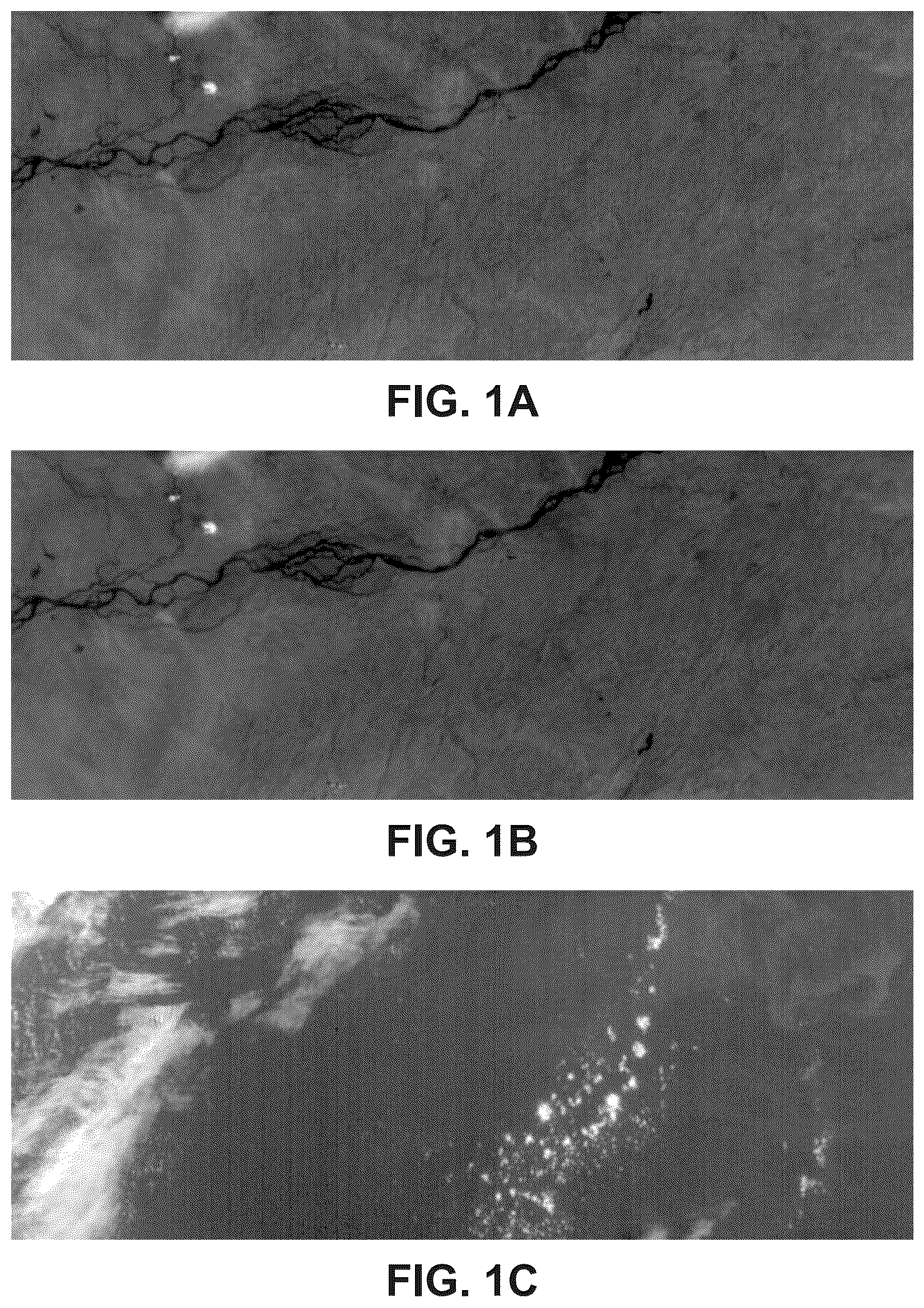 Patent US12581215 — Dark current pattern estimation method — Figure 1