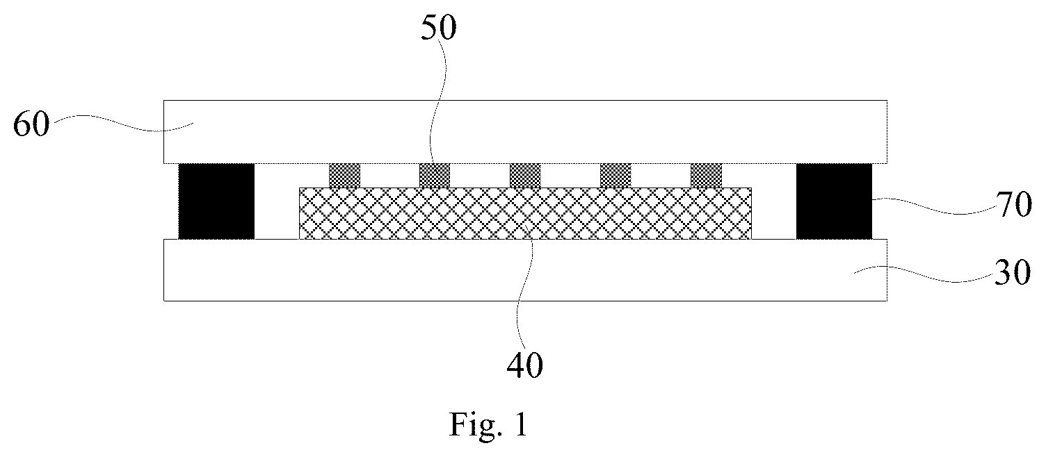 Patent US12581833 — Display substrate and display device — Figure 1