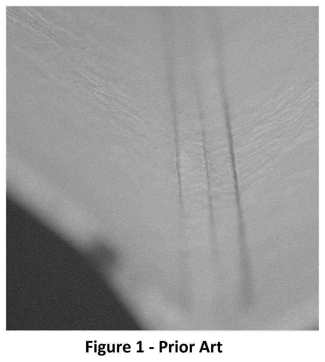 Patent US12583200 — Method for forming a creasing on a paper item and paper item provided with a creasing — Figure 1