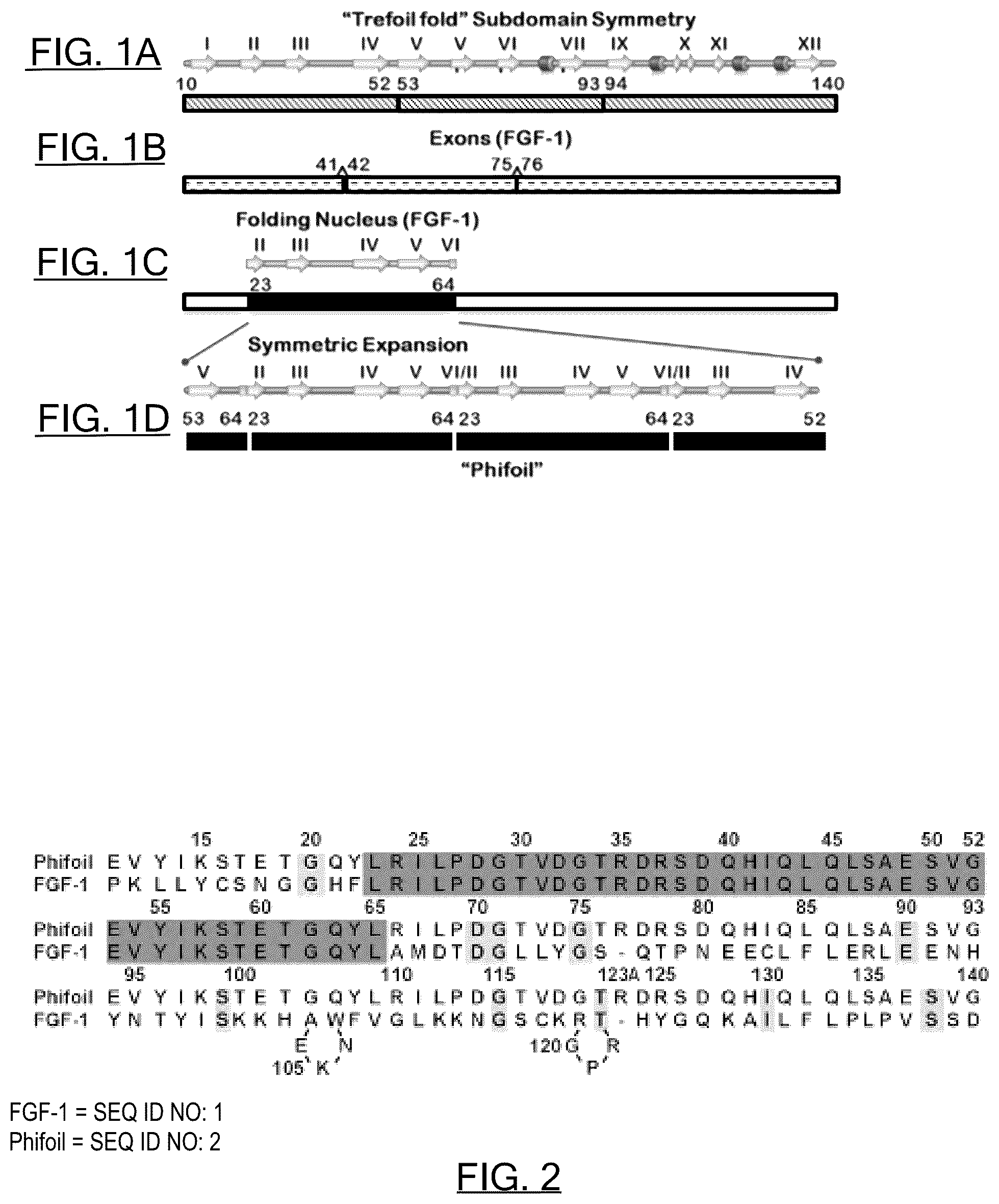 Patent US12583897 Figure 1 – Synthetic foldable proteins generated from peptide segments of folding nuclei of reference proteins