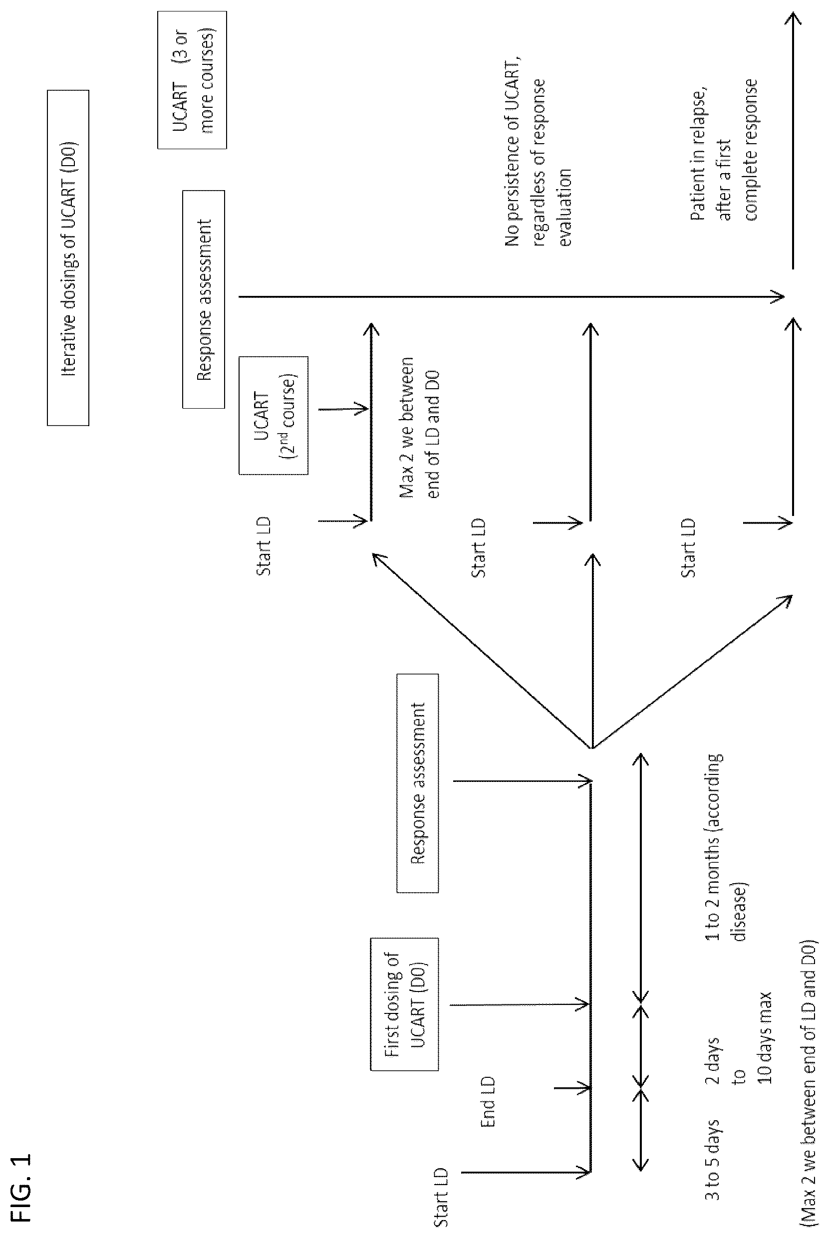 Patent US12583905 — Methods and compositions for dosing of allogeneic chimeric antigen receptor T cells — Figure 1