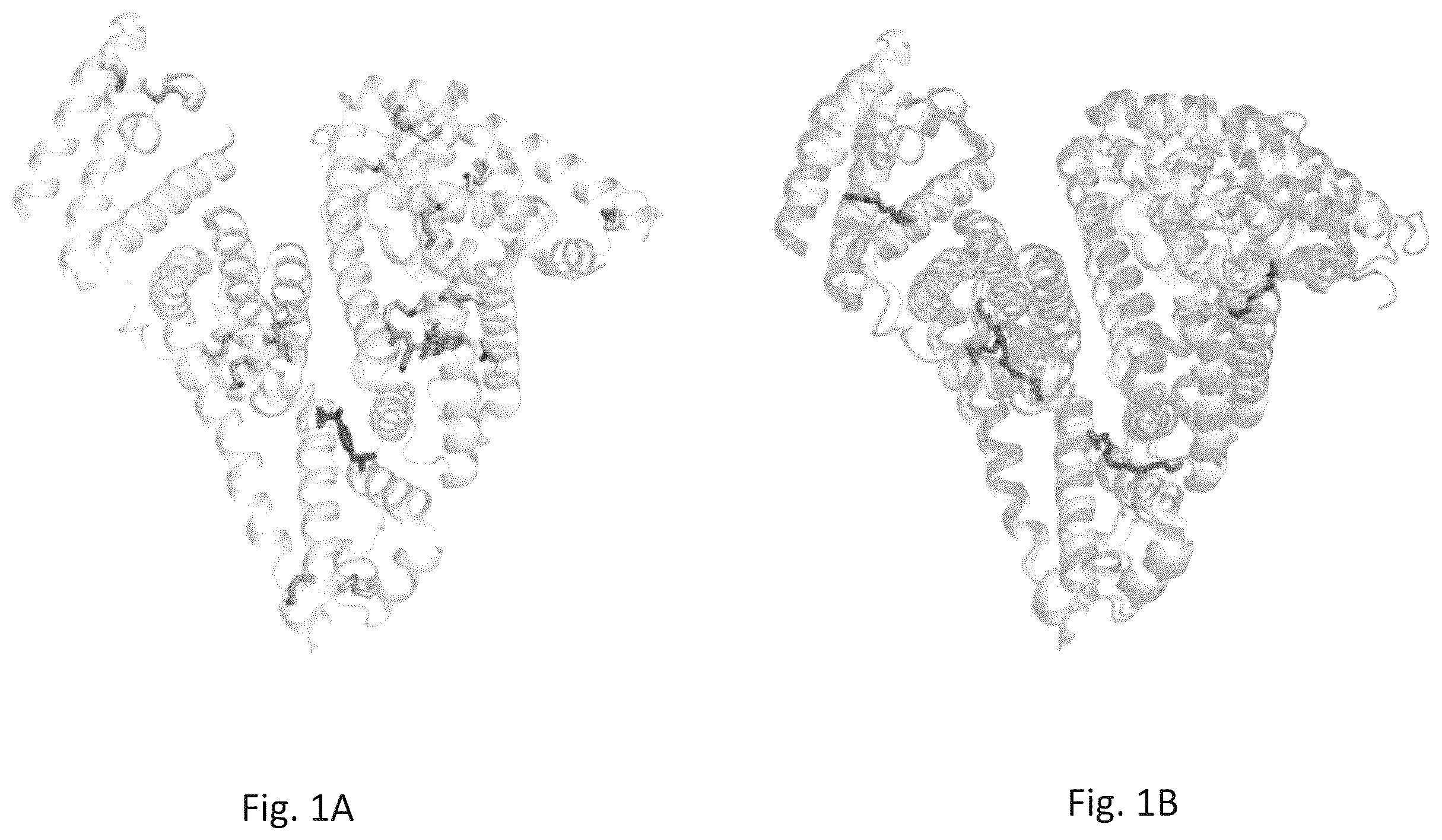 Patent US12583908 — Albumin protein variants, production thereof and uses of same — Figure 1