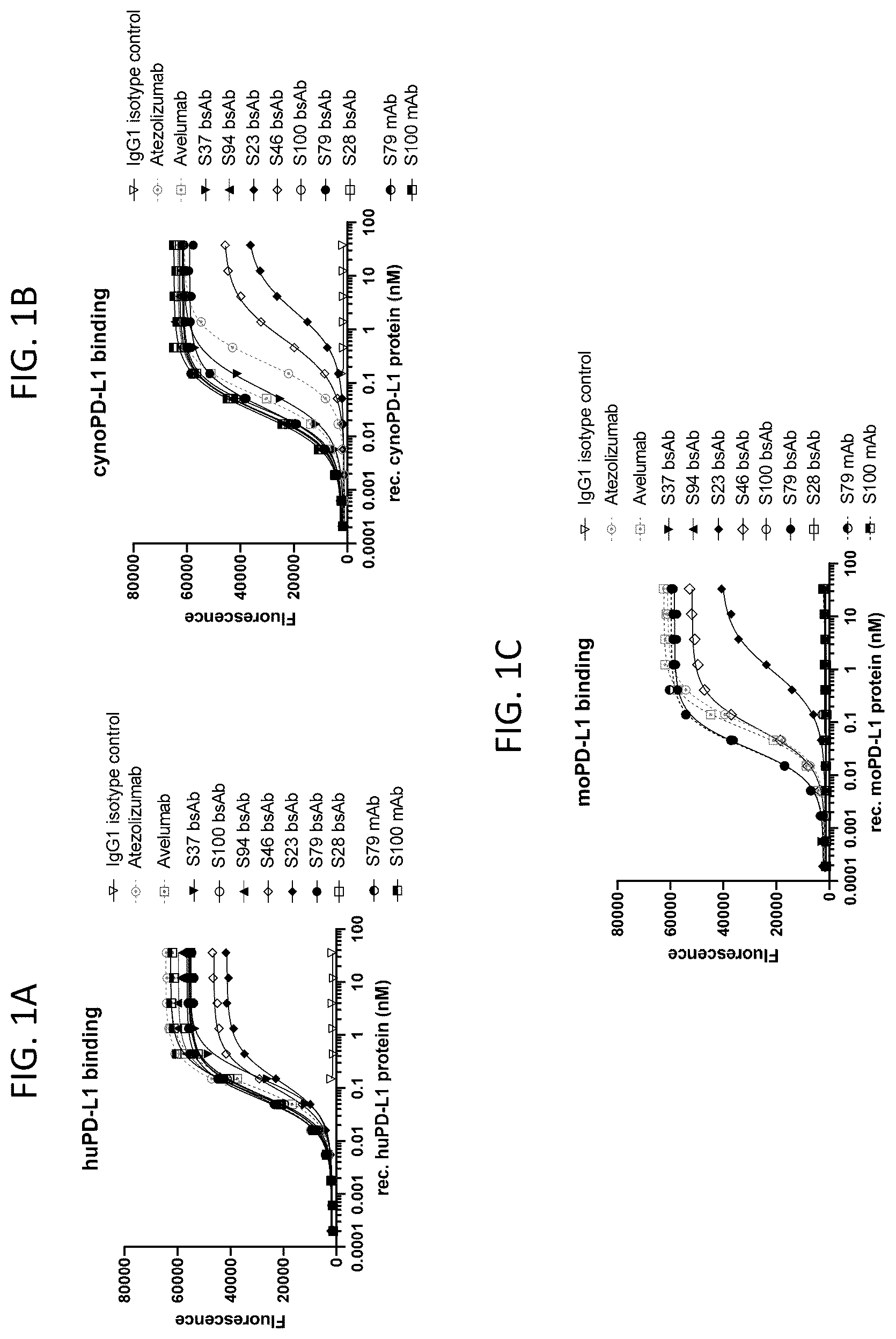 Patent US12583922 — Bispecific antibodies targeting CD47 and PD-L1 and methods of use thereof — Figure 1