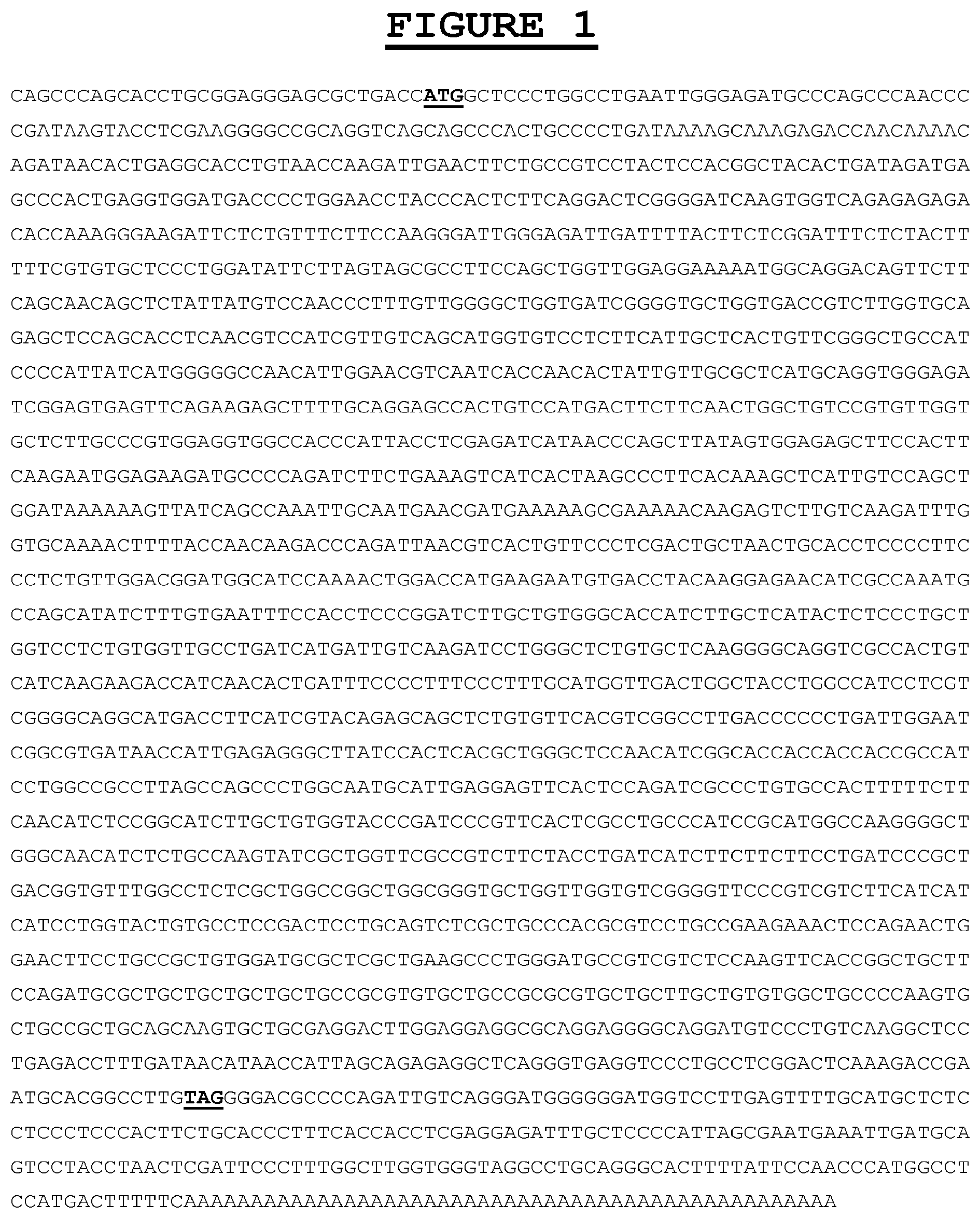 Patent US12583937 — Compositions and methods for the diagnosis and treatment of tumor — Figure 1