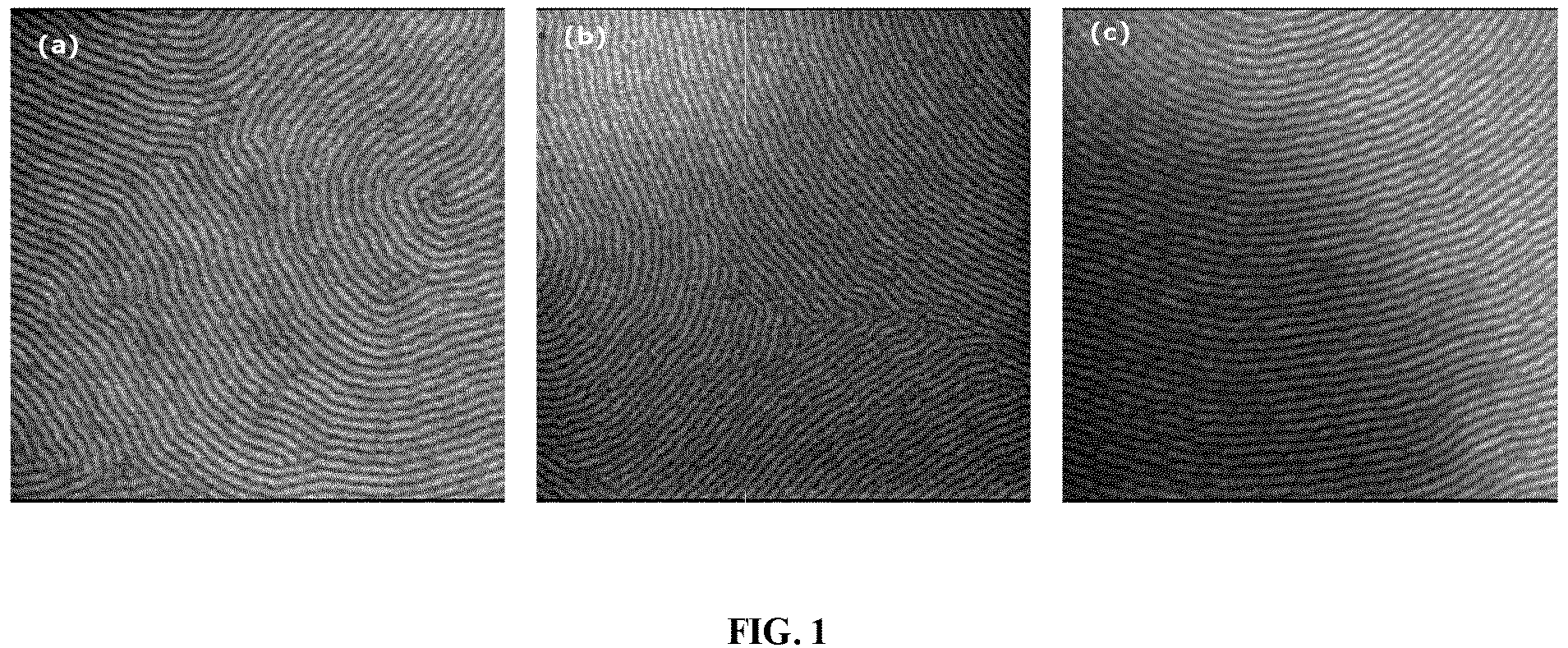 Patent US12583961 — Tunable high-chi diblock copolymers consisting of alternating copolymer segments for directed self-assembly and application thereof — Figure 1