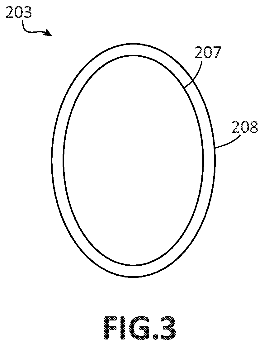 Patent US12586070 Figure 3 – Cryptocurrency management systems and methods with wireless activation