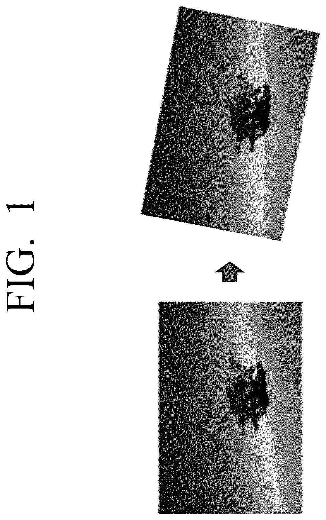 Patent US12586156 — Method, system and apparatus for image orientation correction — Figure 1