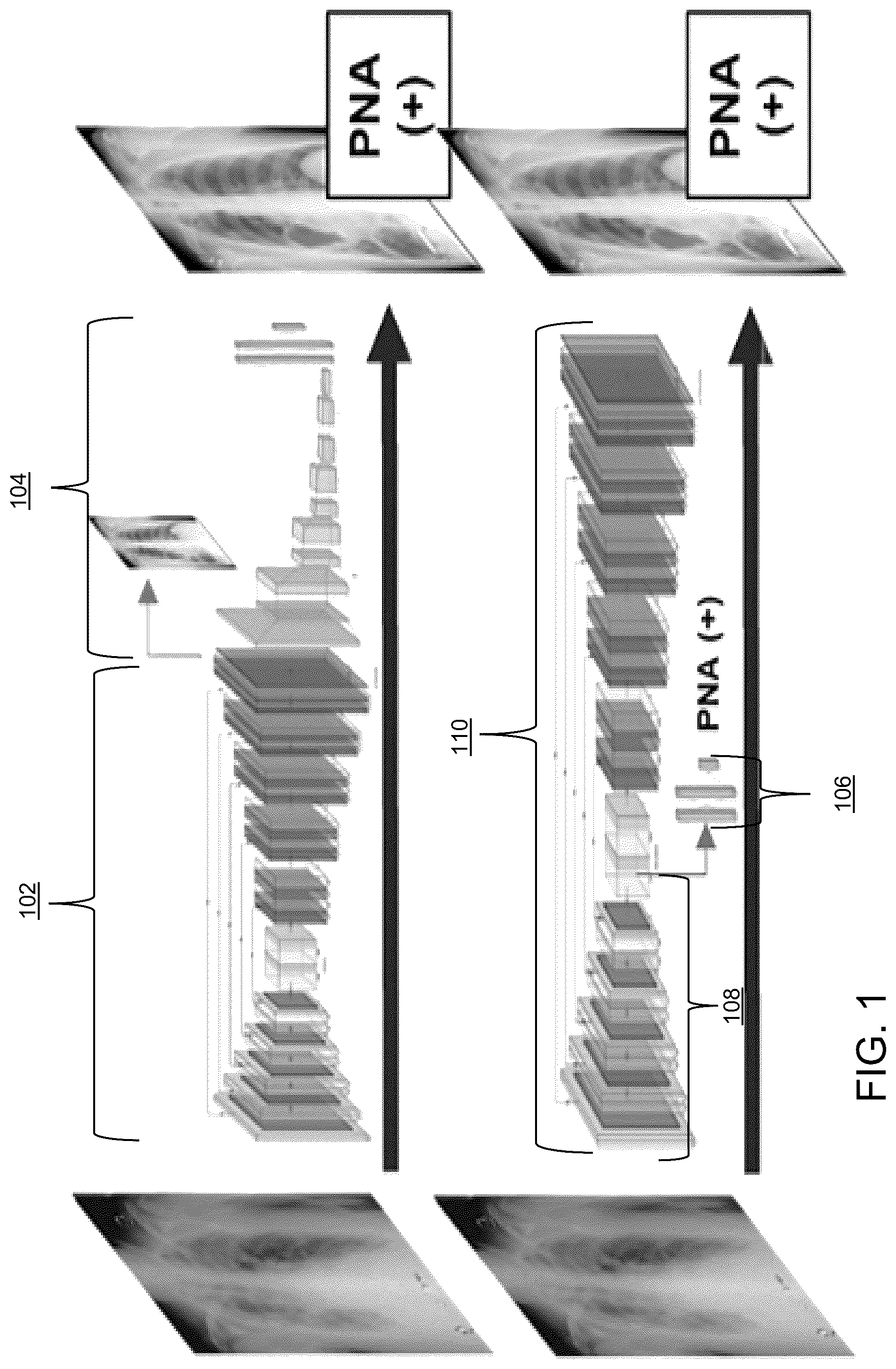 Patent US12586182 — Multi-prong multitask convolutional neural network for biomedical image inference — Figure 1