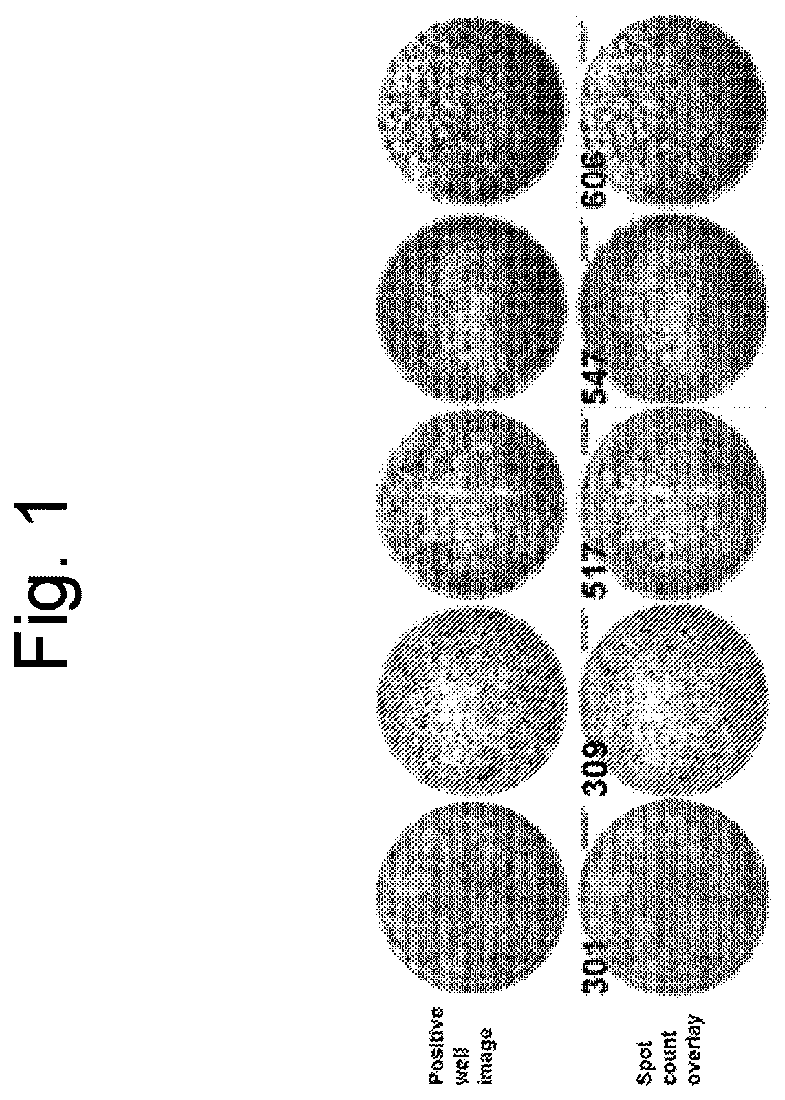 Patent US12586183 — Method for diagnosing latent tuberculosis infection — Figure 1