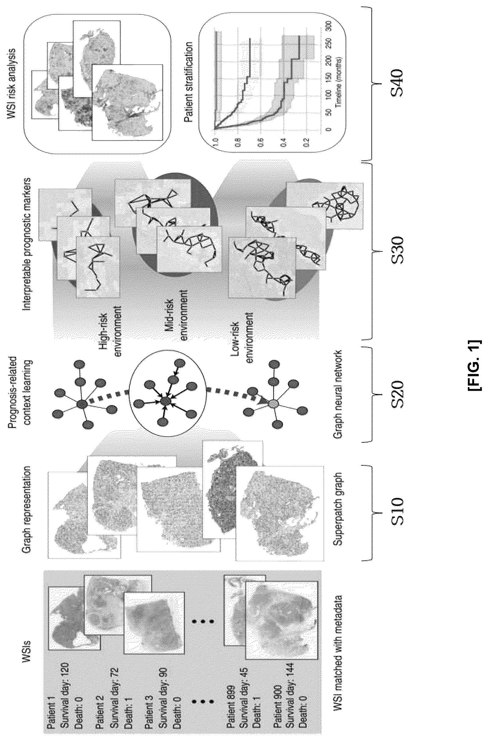 Patent US12586184 — Methods and apparatus for analyzing pathology patterns of whole-slide images based on graph deep learning — Figure 1