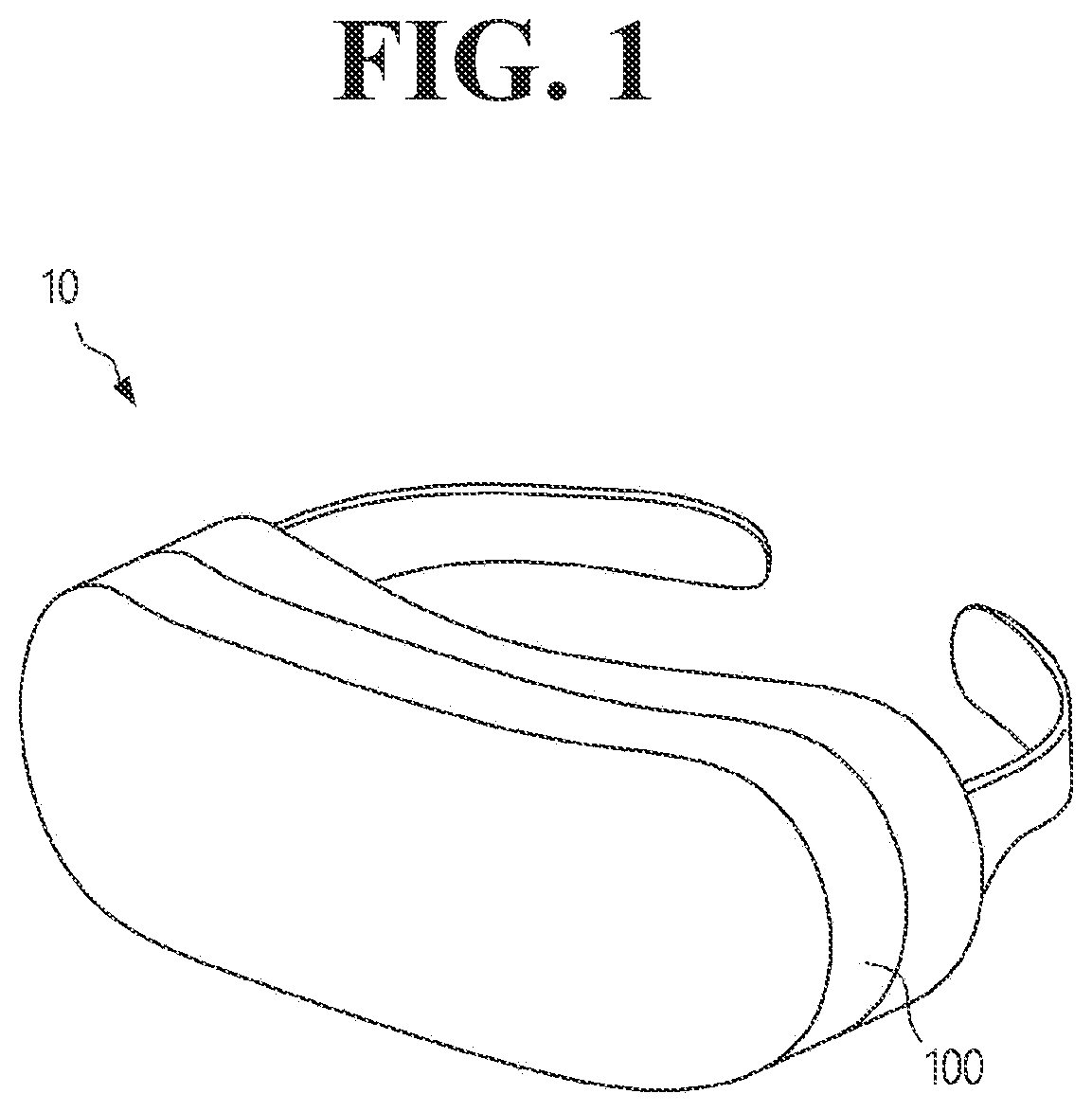 Patent US12586491 — Display device and method for driving the same — Figure 1