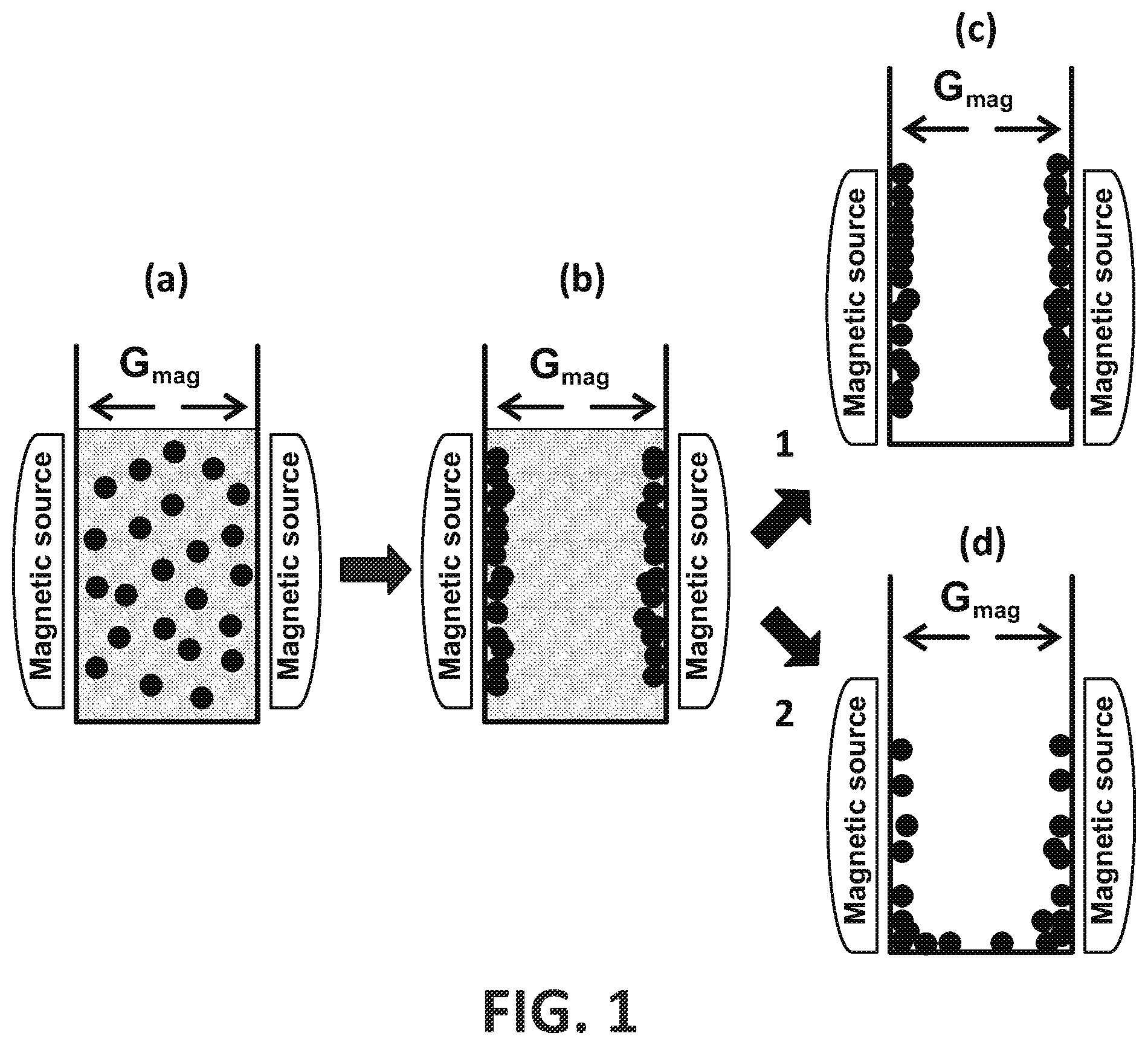 Patent US12586703 — Biomagnetic separation system with double ring profile — Figure 1