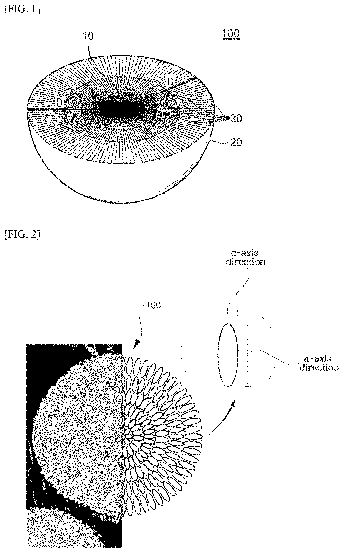 Patent US12586791 — Fluorine-containing positive electrode active material for lithium secondary battery, and lithium secondary battery including same — Figure 1