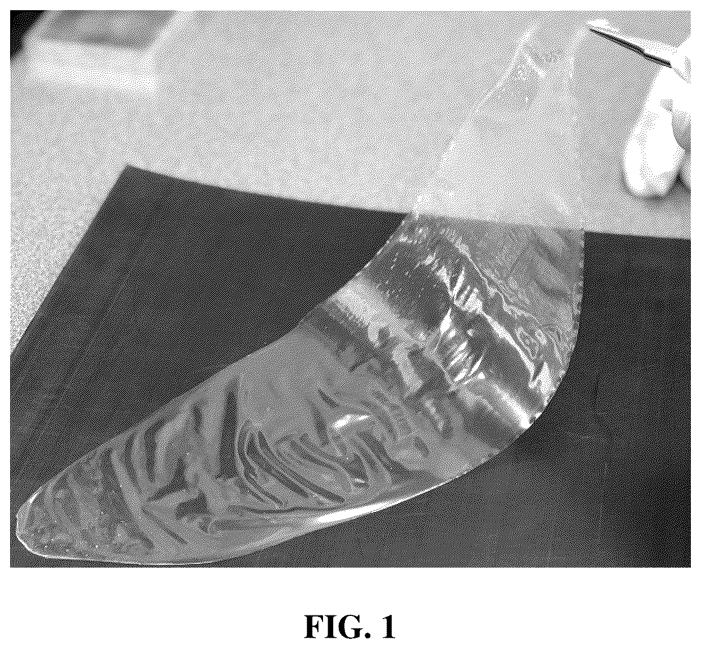 Patent US12586816 Figure 1 – Energy storage devices with polymer electrolytes and fillers