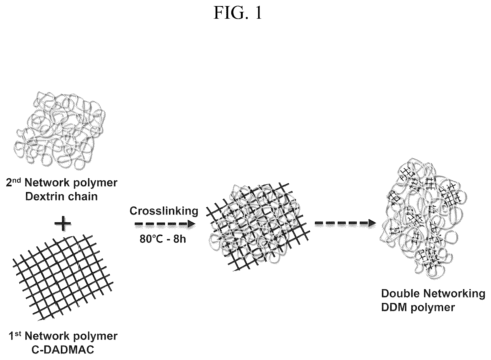 Patent US12586818 Figure 1 – Dextrin-DADMAC based double network polymer gel electrolyte, method for preparing the same and energy storage device including the same
